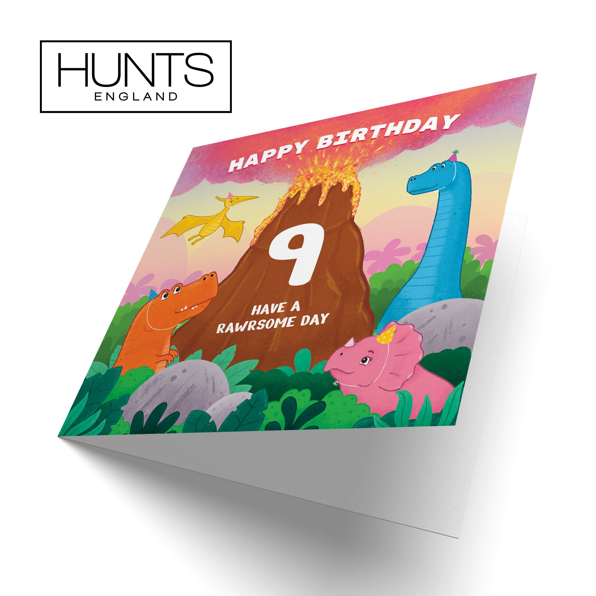 9th Dinosaur Birthday Card Volcano Imagination - Default Title (LG02039)