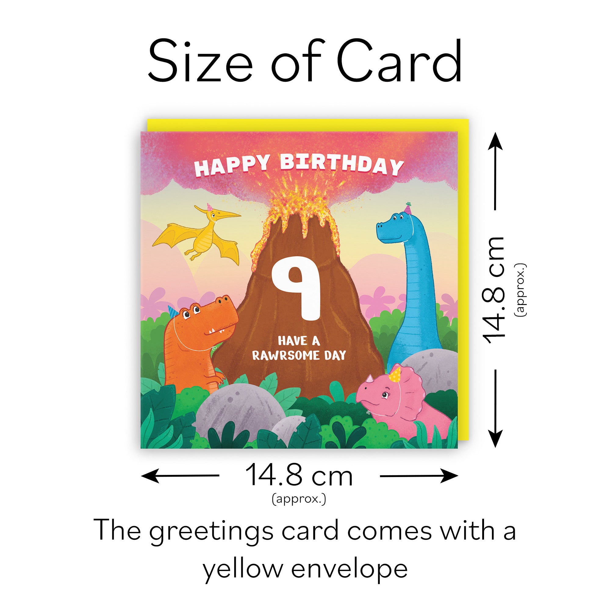 9th Dinosaur Birthday Card Volcano Imagination - Default Title (LG02039)