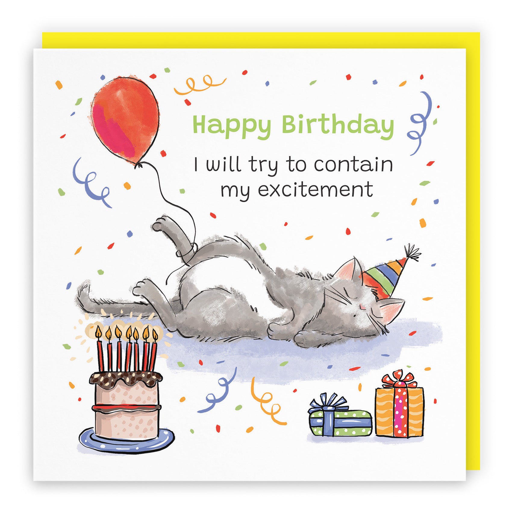 Birthday Card Sleepy Cat Animal Party - Default Title (RM00001)