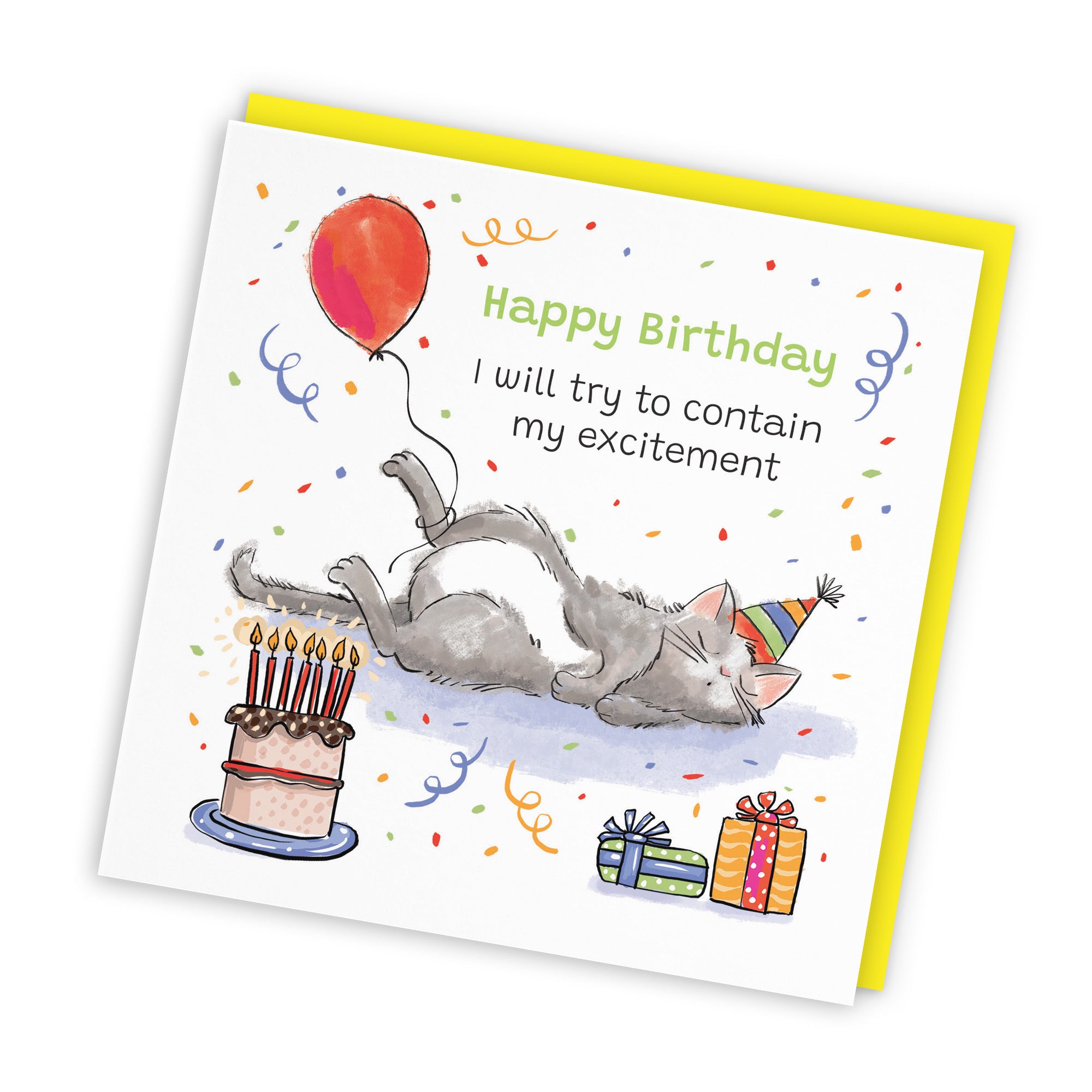 Birthday Card Sleepy Cat Animal Party - Default Title (RM00001)