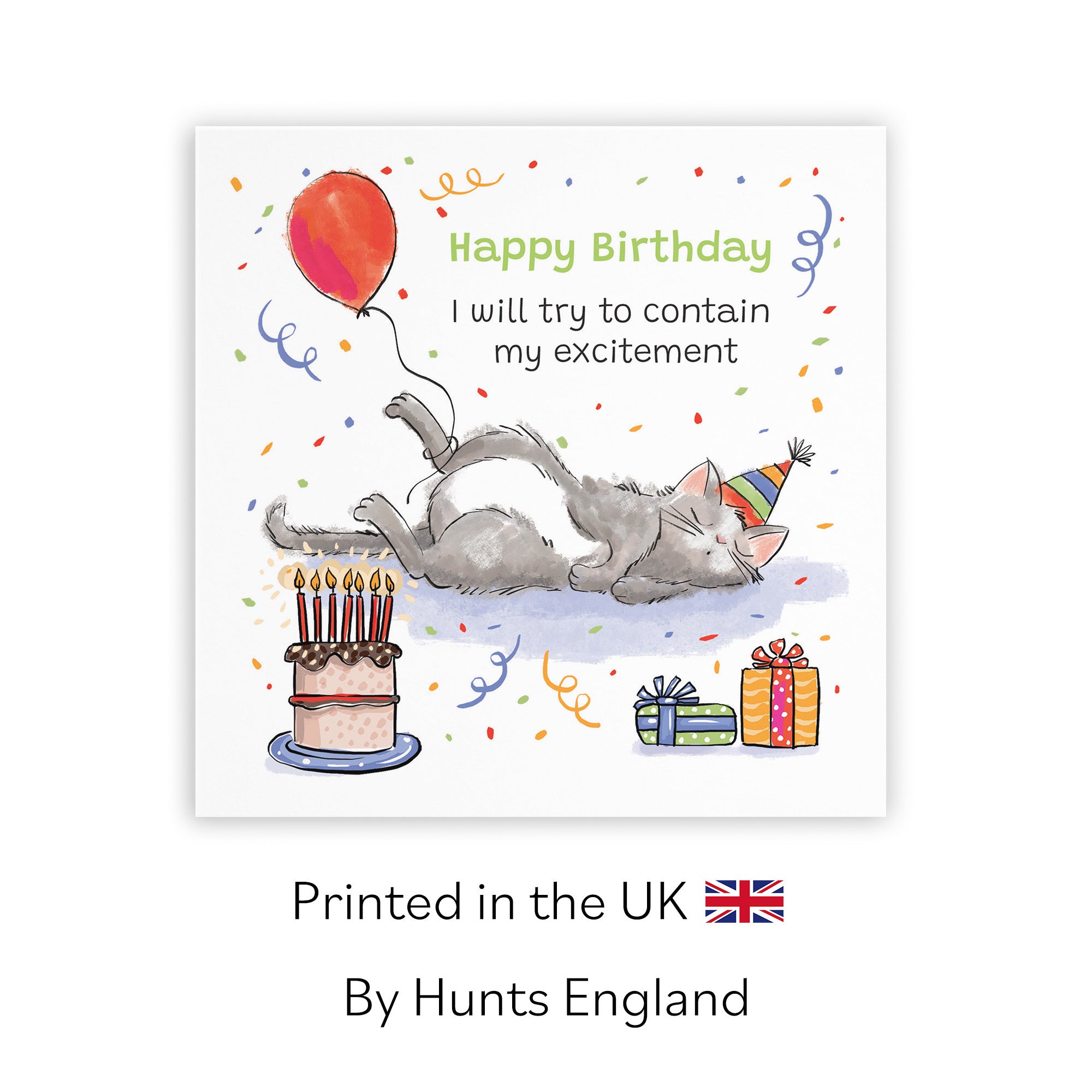 Birthday Card Sleepy Cat Animal Party - Default Title (RM00001)