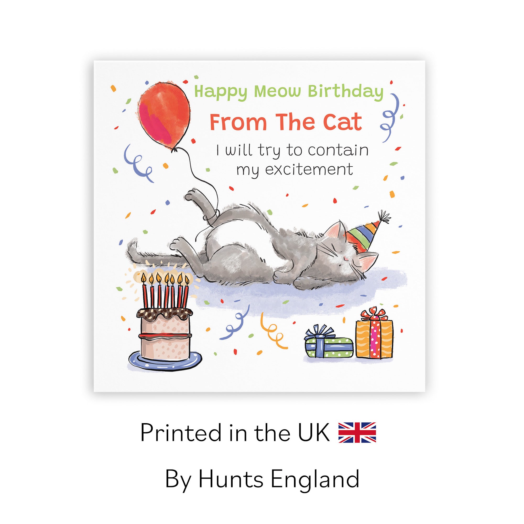 From The Cat Birthday Card Sleepy Cat Animal Party - Default Title (RM00005)