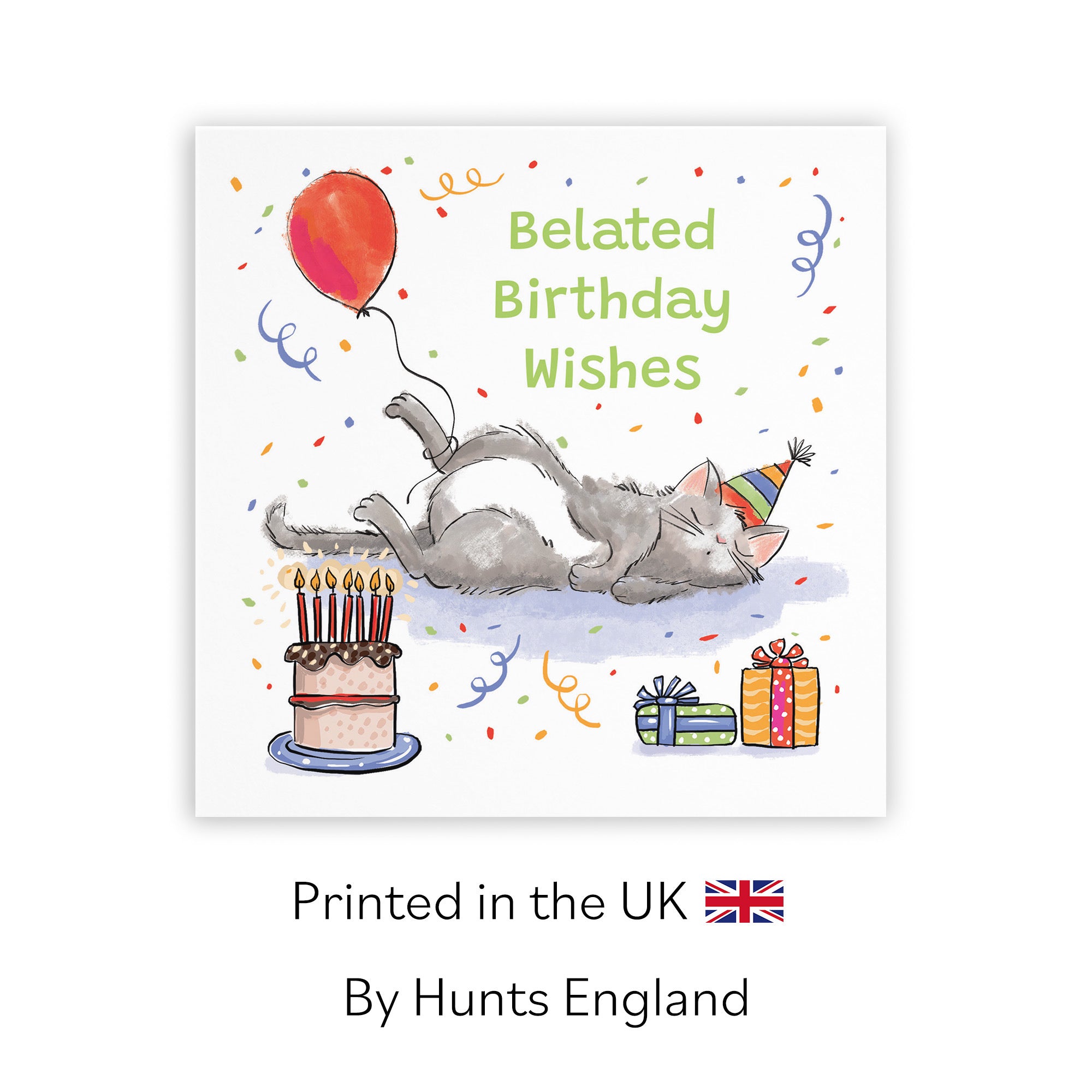 Belated Birthday Card Sleepy Cat Animal Party - Default Title (RM00006)