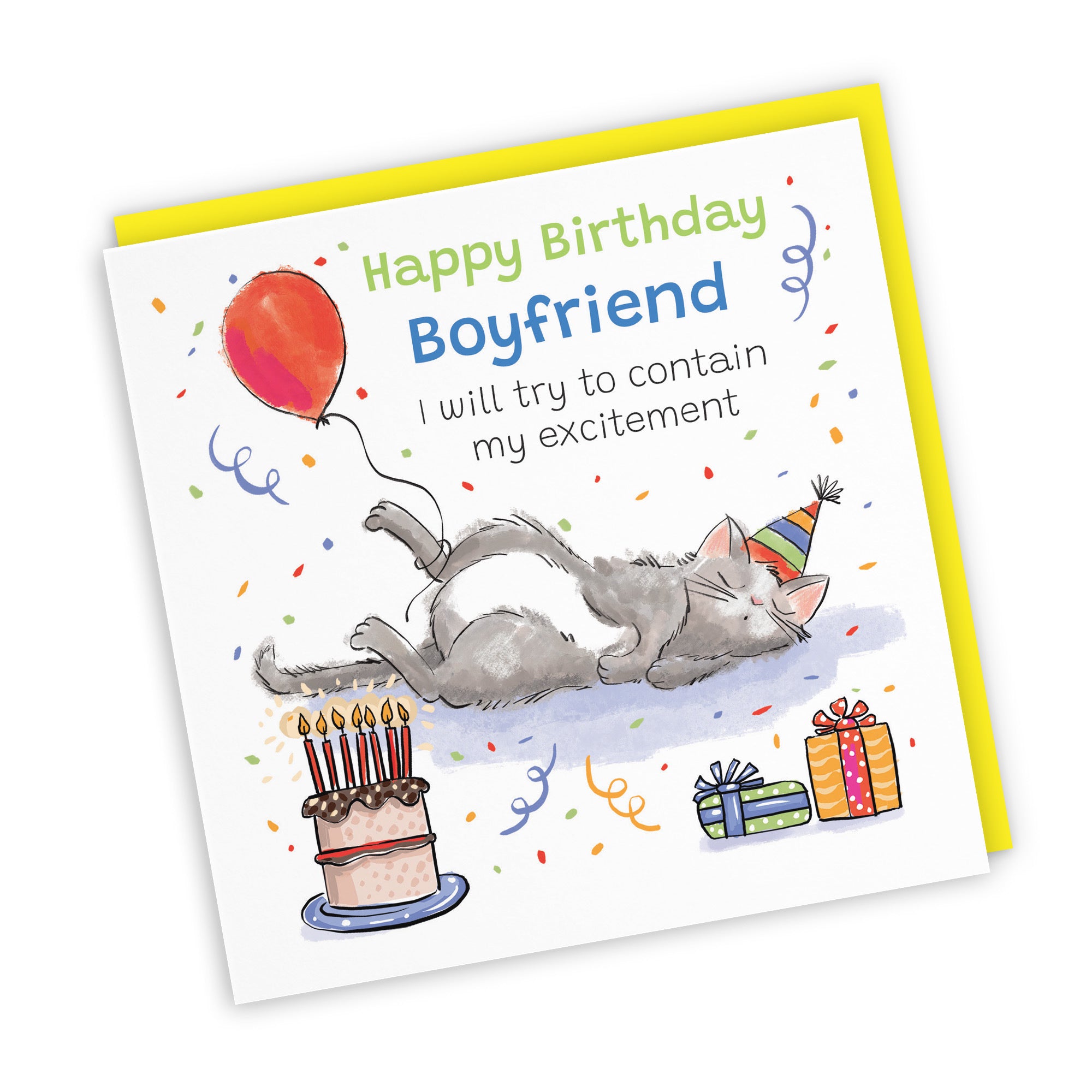 Boyfriend Birthday Card Sleepy Cat Animal Party - Default Title (RM00011)
