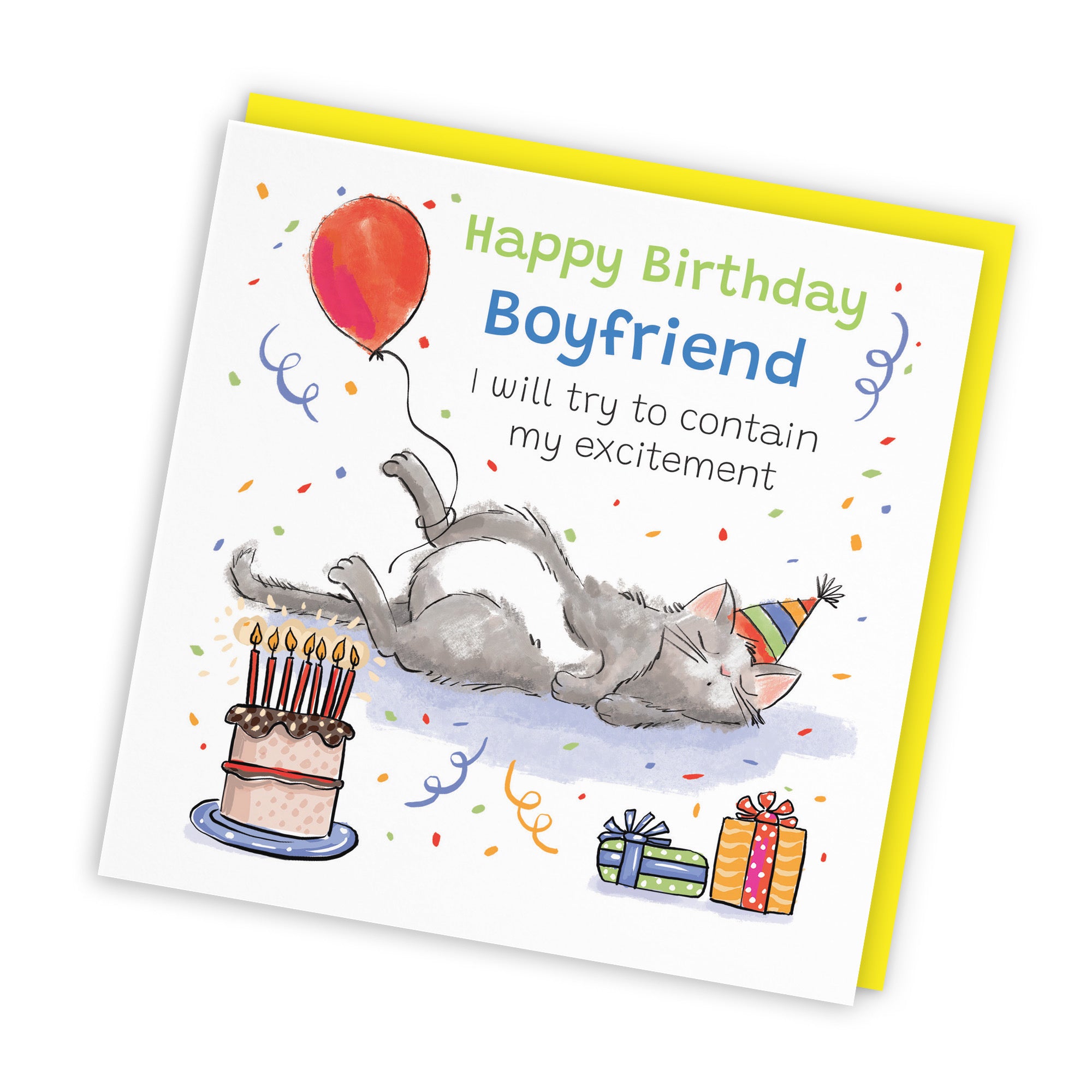 Boyfriend Birthday Card Sleepy Cat Animal Party - Default Title (RM00011)