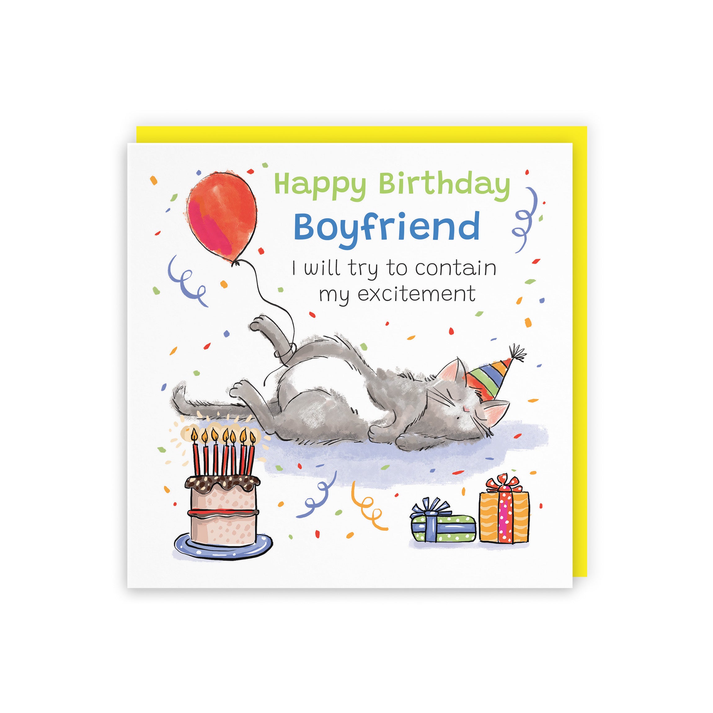 Boyfriend Birthday Card Sleepy Cat Animal Party - Default Title (RM00011)