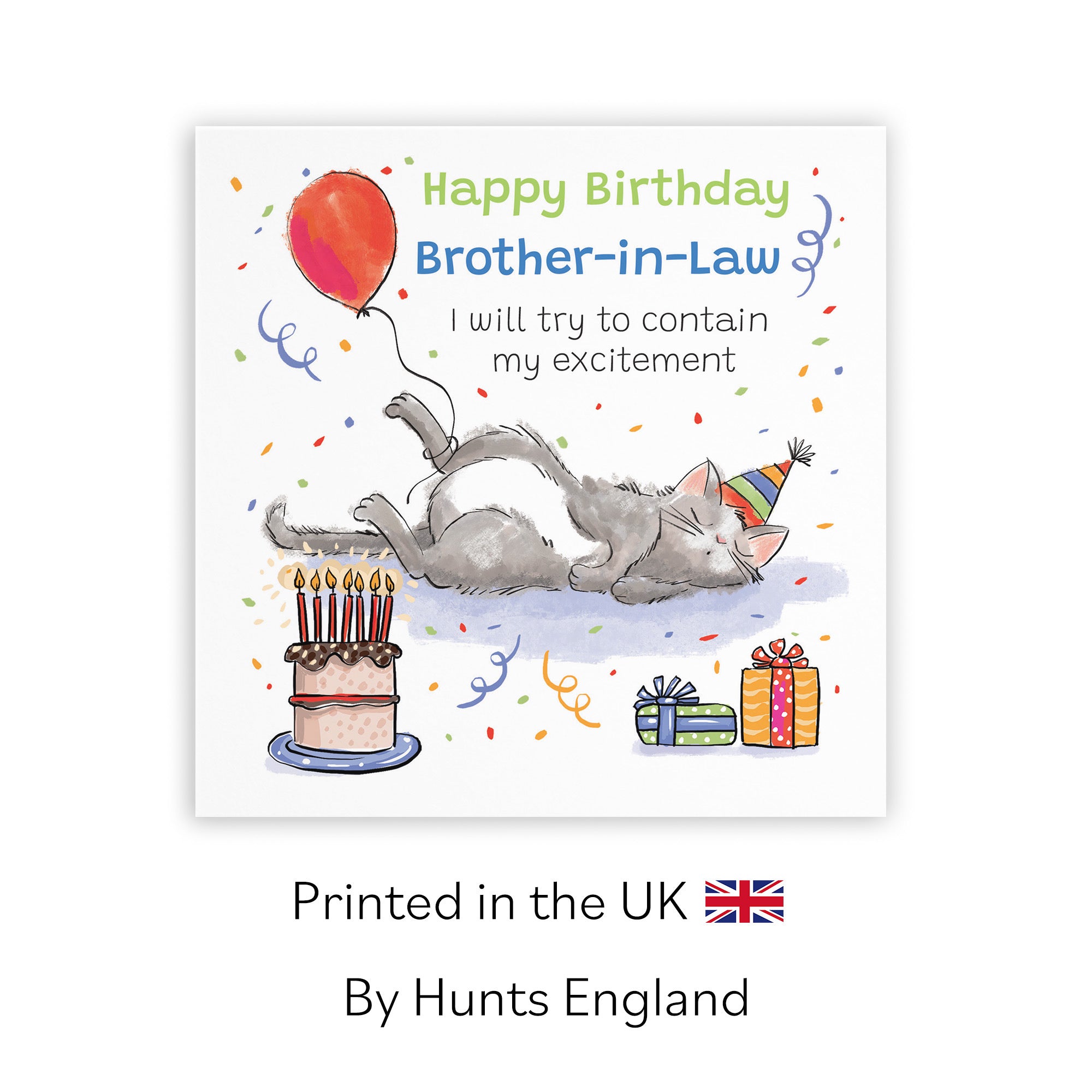 Brother-in-Law Birthday Card Sleepy Cat Animal Party - Default Title (RM00013)