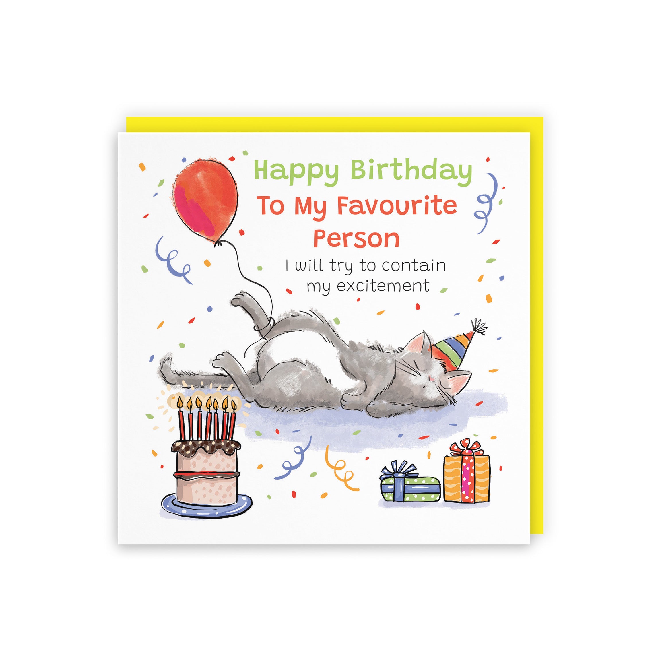 Favourite Person Birthday Card Sleepy Cat Animal Party - Default Title (RM00024)