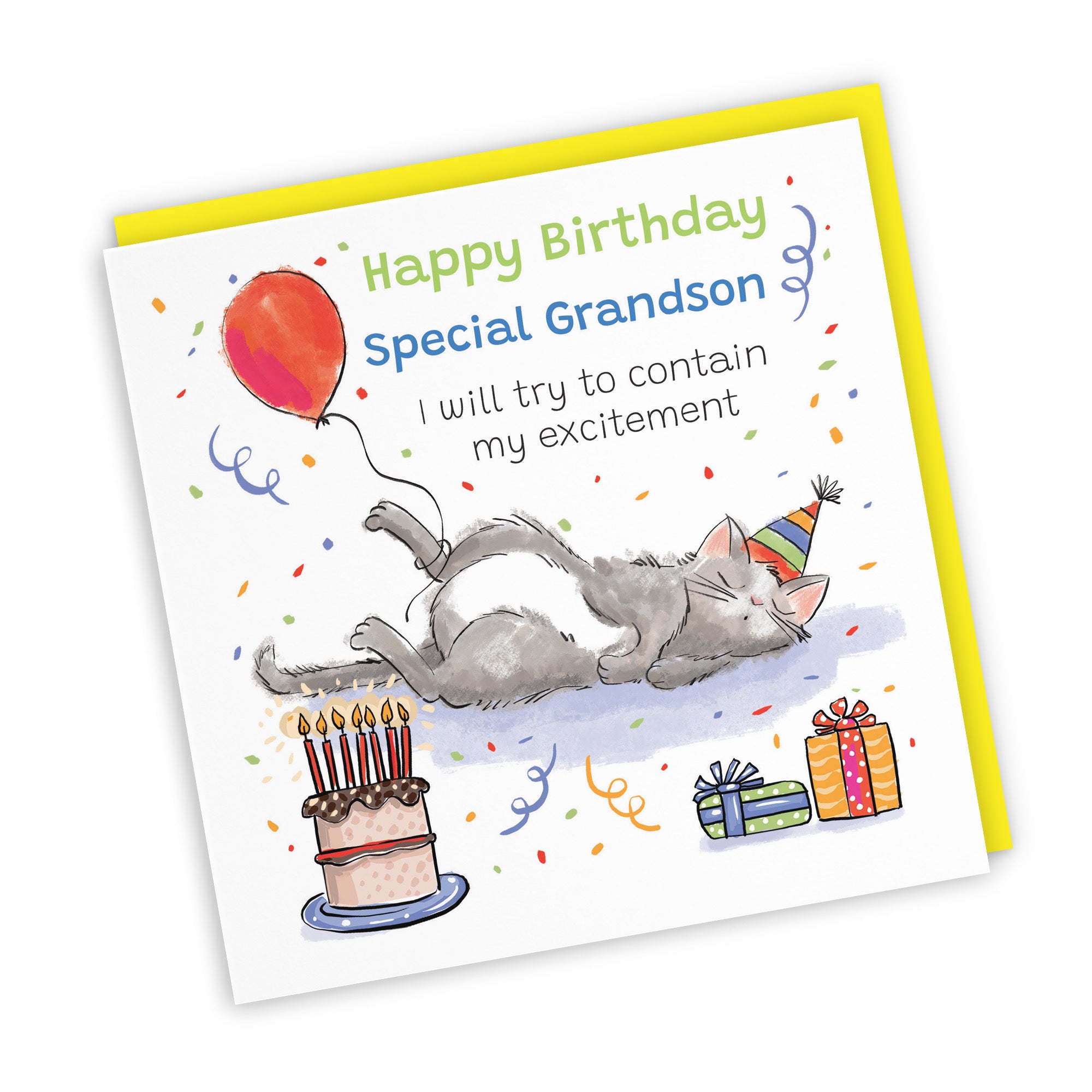 Grandson Birthday Card Sleepy Cat Animal Party - Default Title (RM00037)