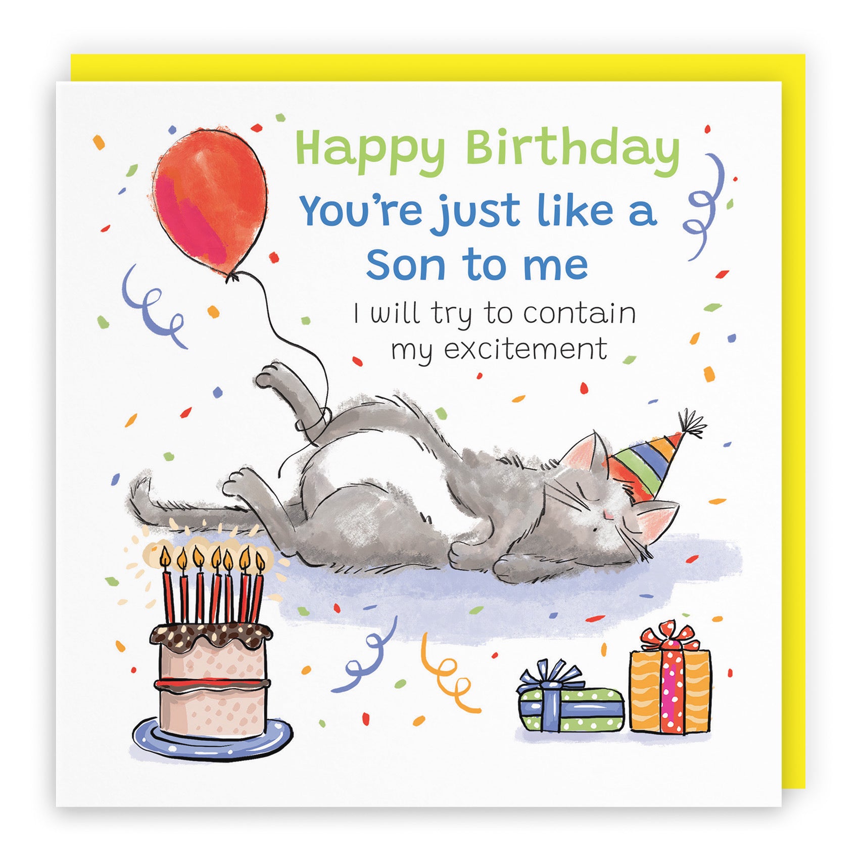 Like A Son To Me Birthday Card Sleepy Cat Animal Party - Default Title (RM00082)