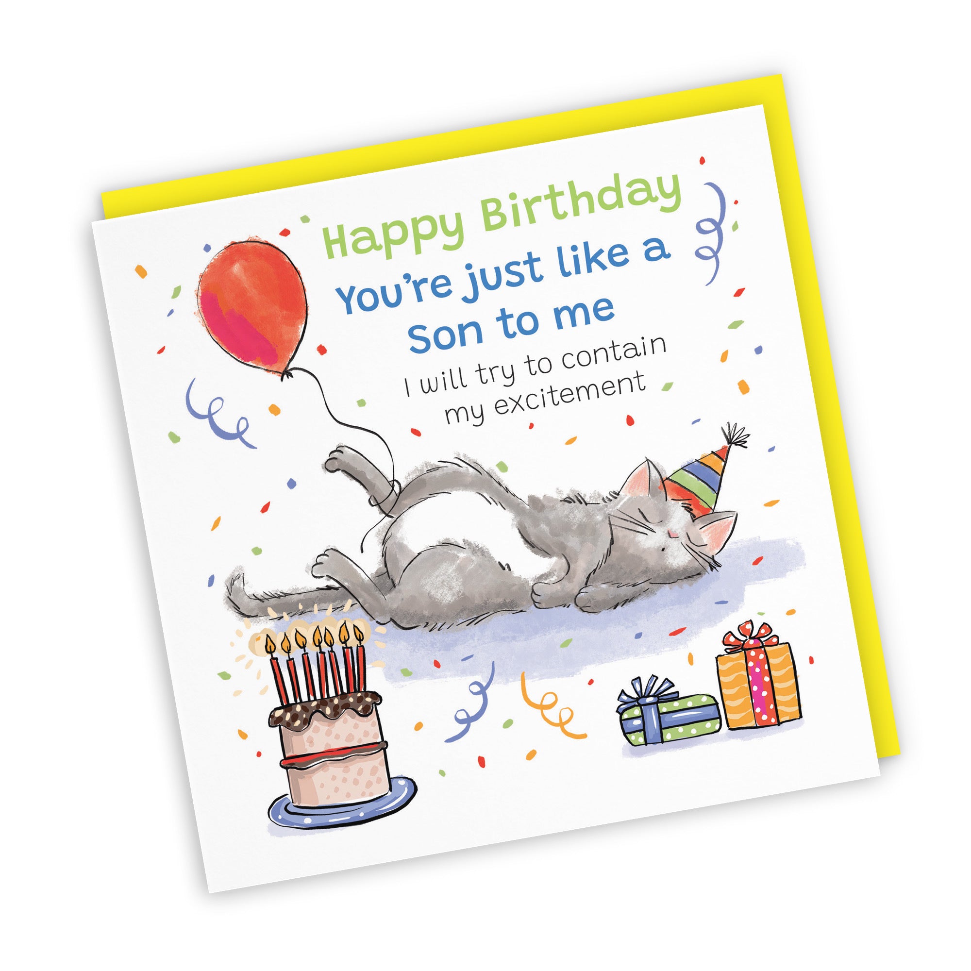 Like A Son To Me Birthday Card Sleepy Cat Animal Party - Default Title (RM00082)