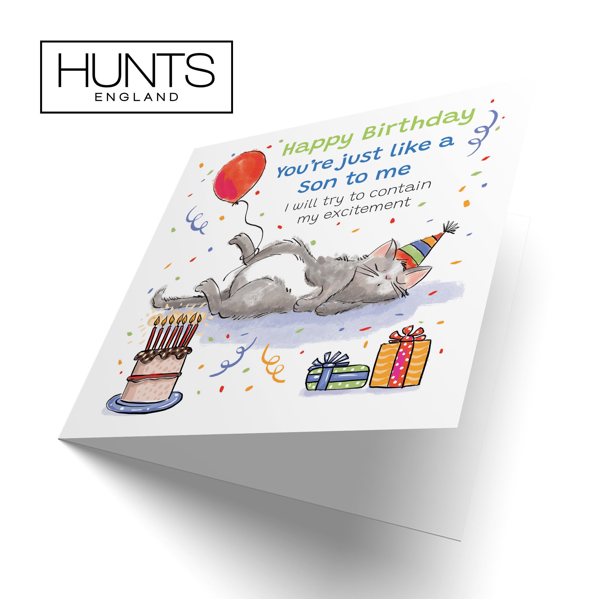 Like A Son To Me Birthday Card Sleepy Cat Animal Party - Default Title (RM00082)