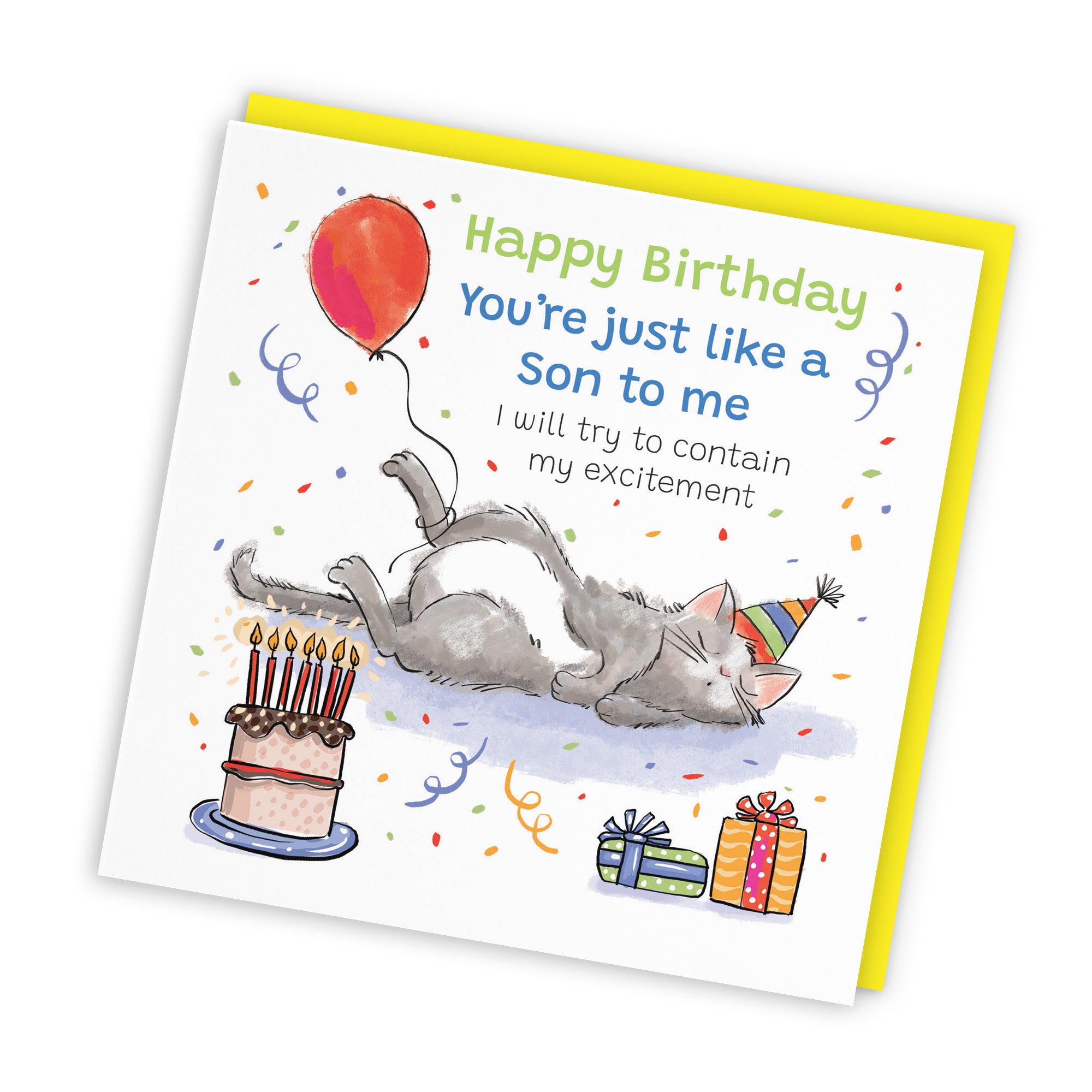 Like A Son To Me Birthday Card Sleepy Cat Animal Party - Default Title (RM00082)