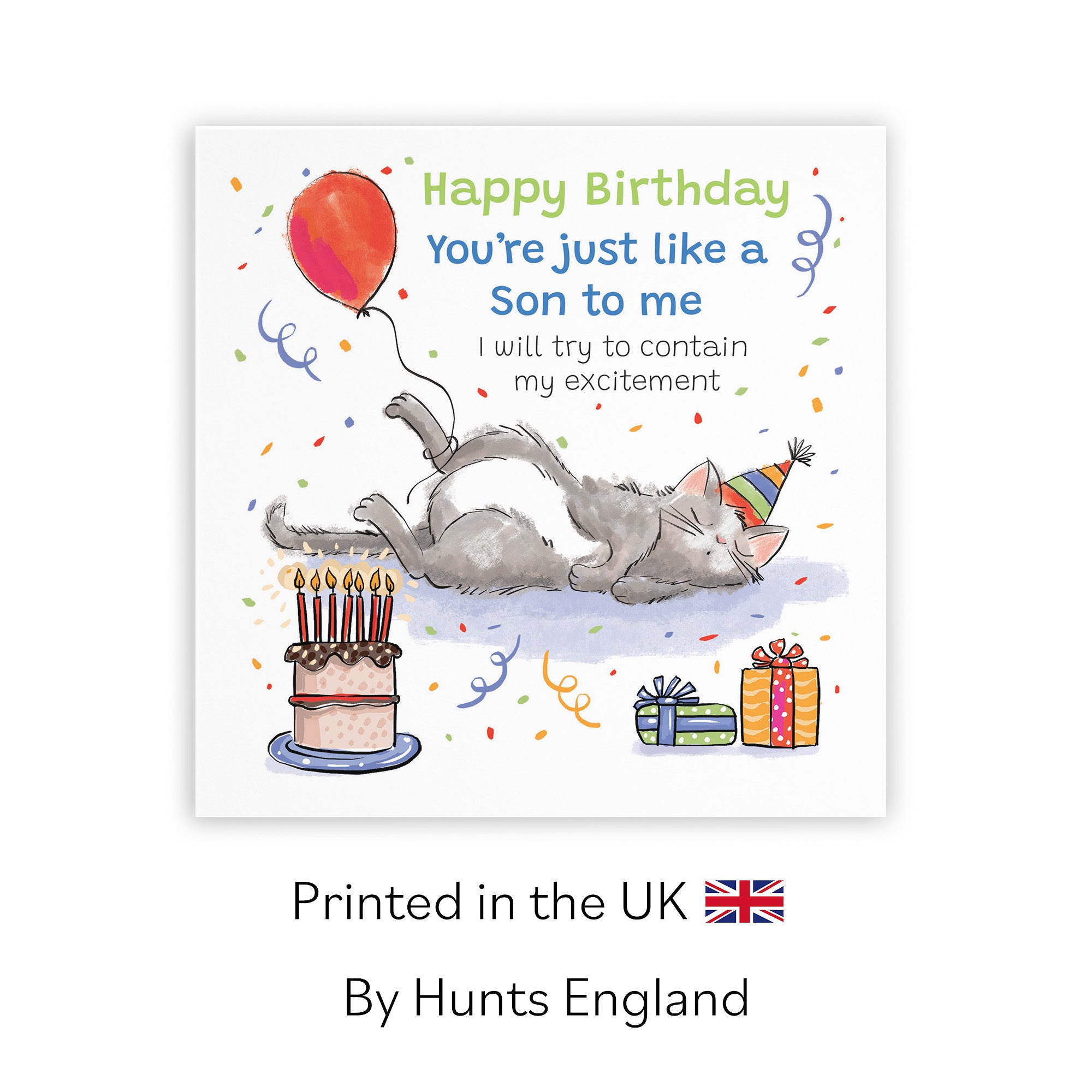 Like A Son To Me Birthday Card Sleepy Cat Animal Party - Default Title (RM00082)