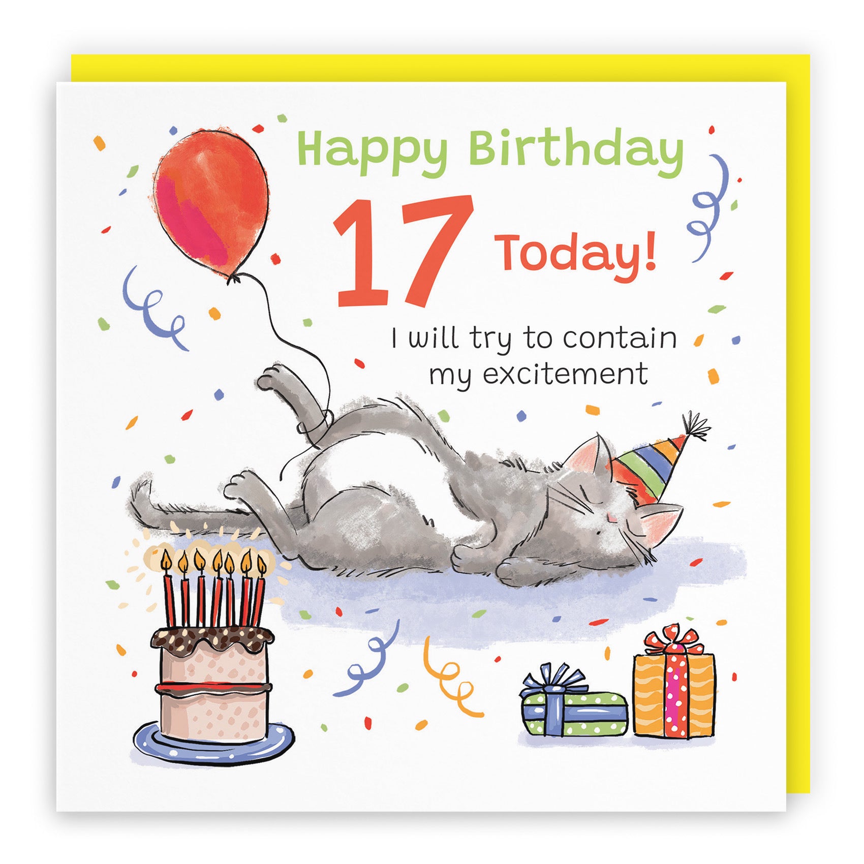 17th Birthday Card Sleepy Cat Animal Party - Default Title (RM00113)