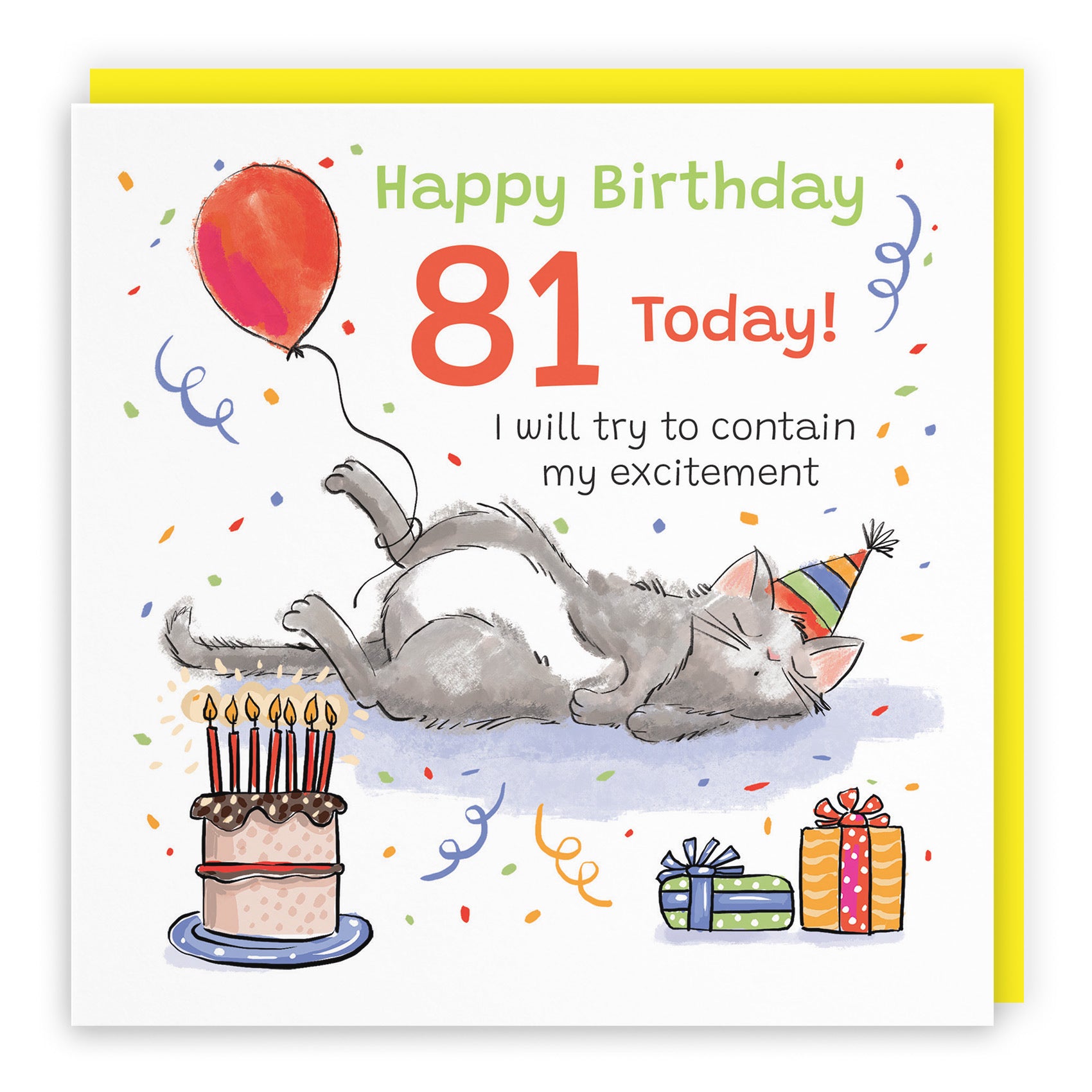 81st Birthday Card Sleepy Cat Animal Party - Default Title (RM00131)