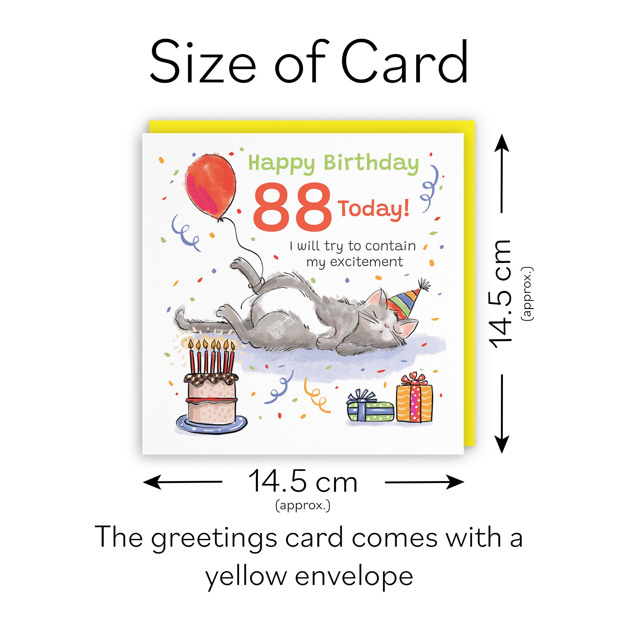 88th Birthday Card Sleepy Cat Animal Party - Default Title (RM00138)