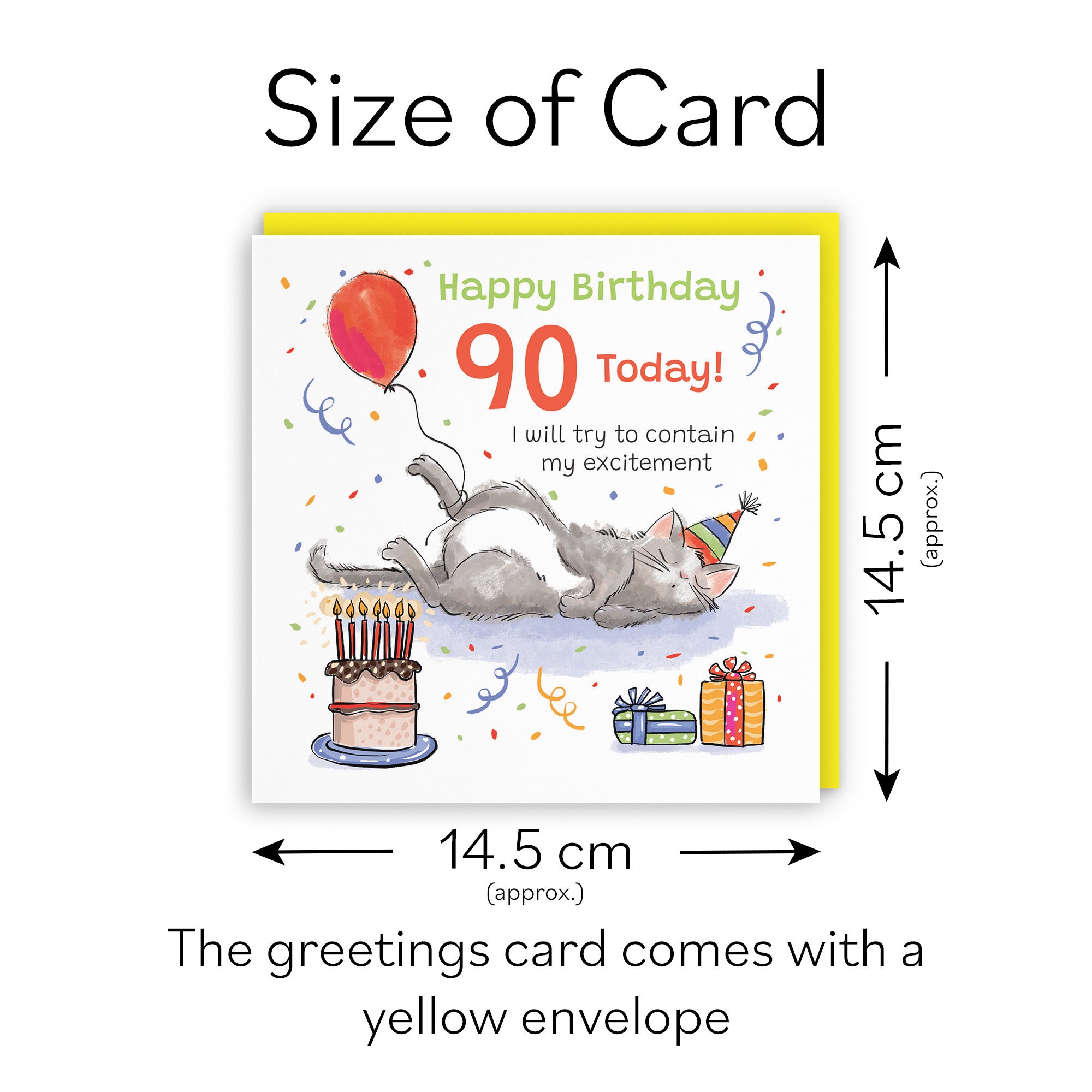 90th Birthday Card Sleepy Cat Animal Party - Default Title (RM00140)