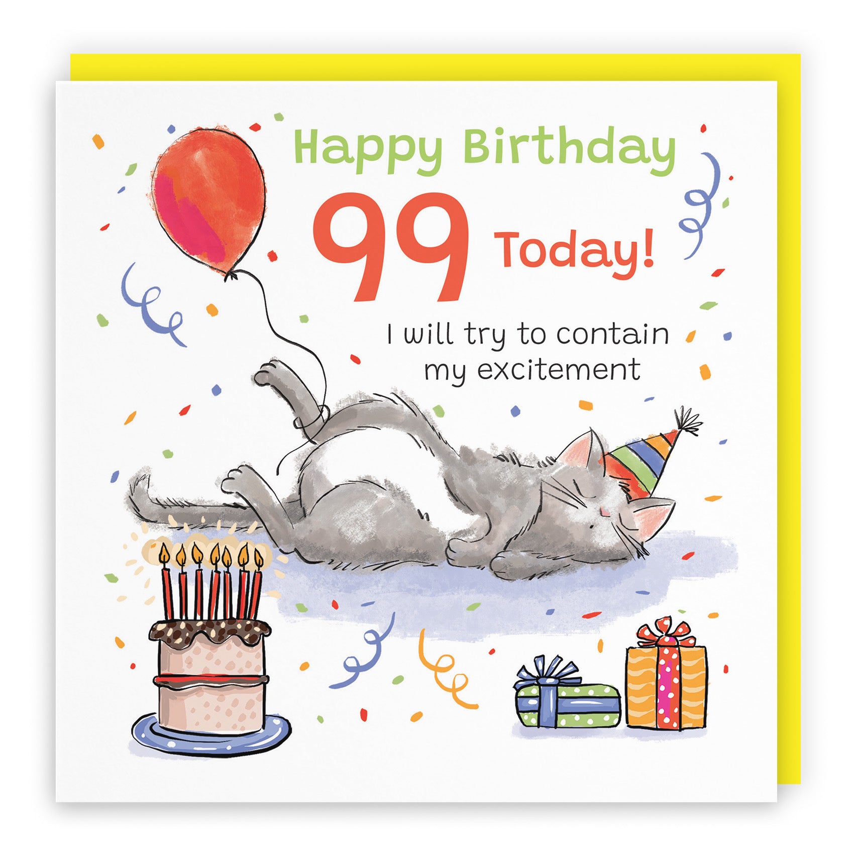 99th Birthday Card Sleepy Cat Animal Party - Default Title (RM00149)