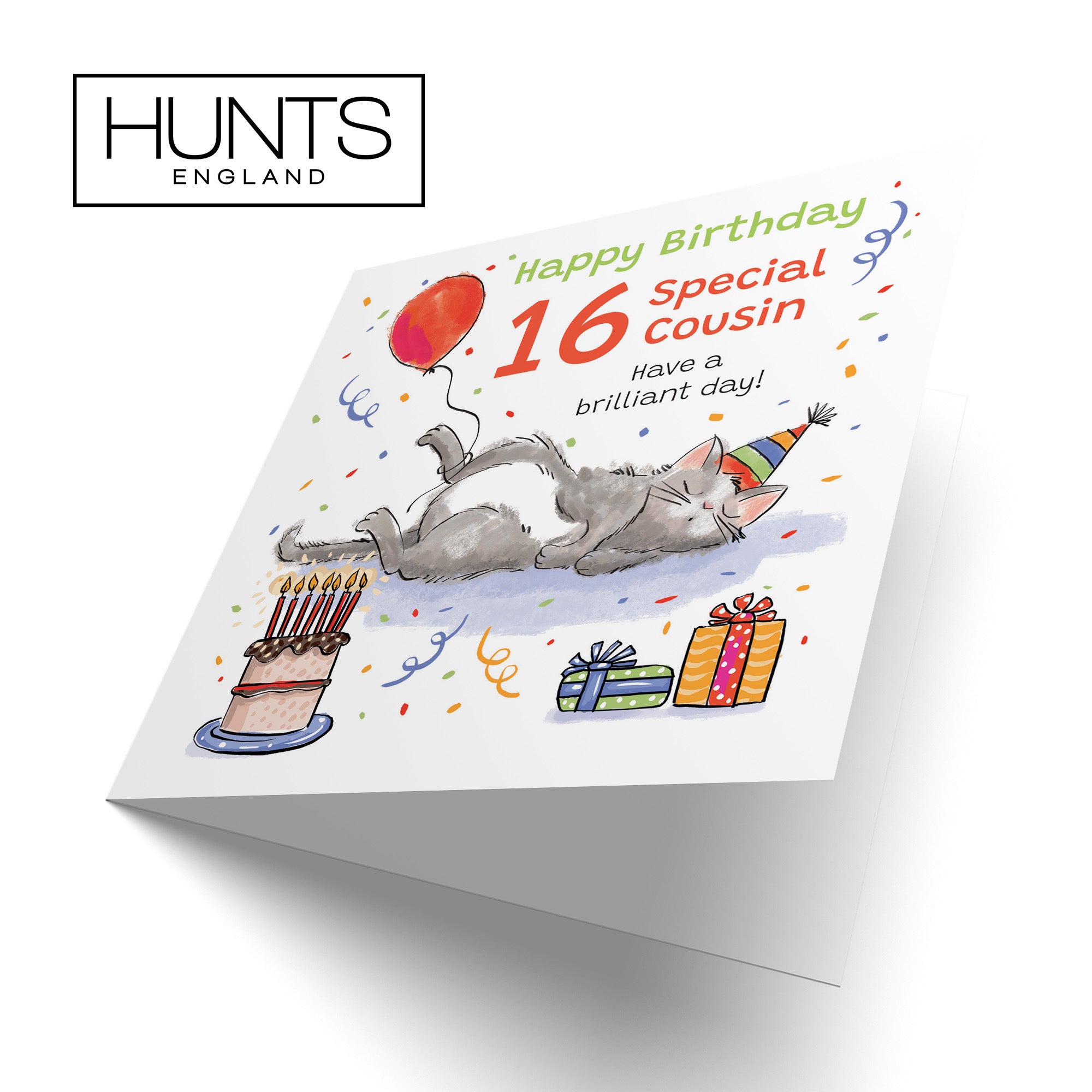16th Cousin Birthday Card Sleepy Cat Animal Party - Default Title (RM00177)