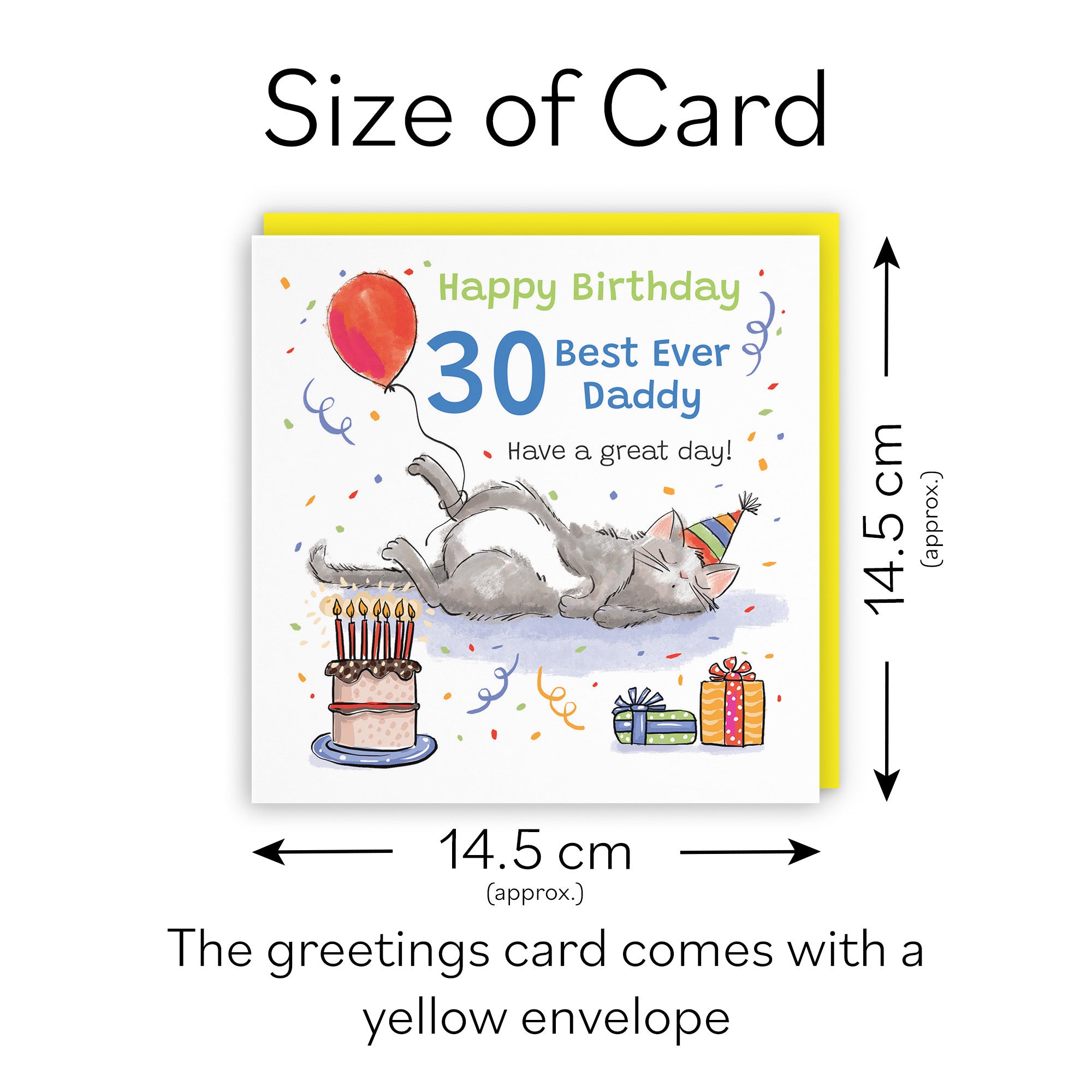 30th Daddy Birthday Card Sleepy Cat Animal Party - Default Title (RM00183)
