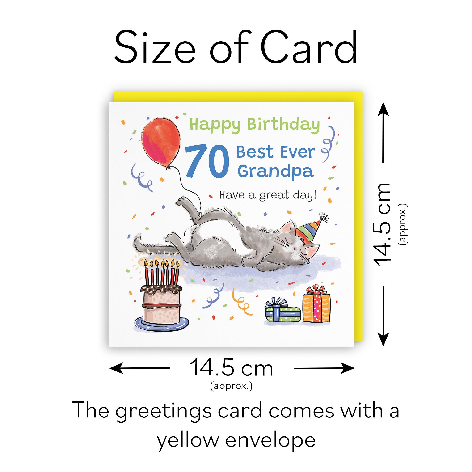 70th Grandpa Birthday Card Sleepy Cat Animal Party - Default Title (RM00247)