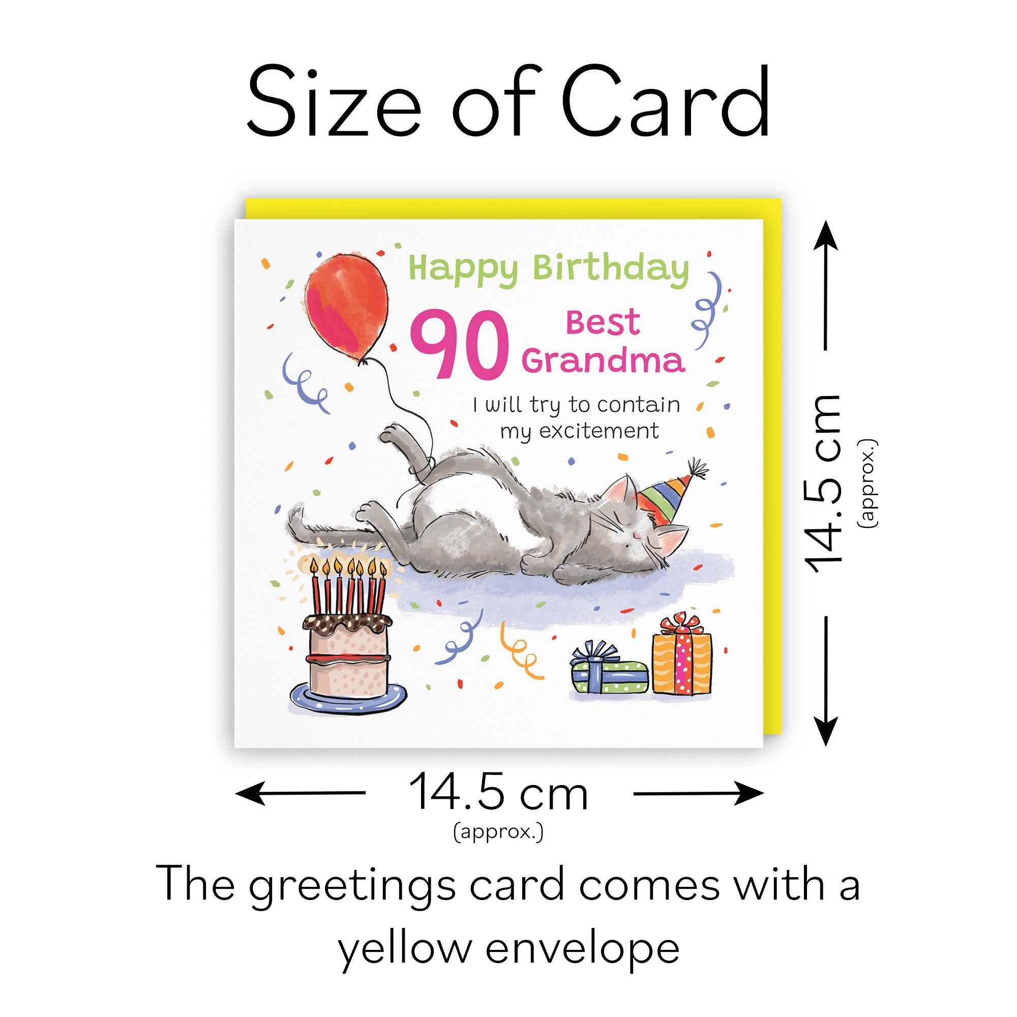 90th Grandma Birthday Card Sleepy Cat Animal Party - Default Title (RM00274)
