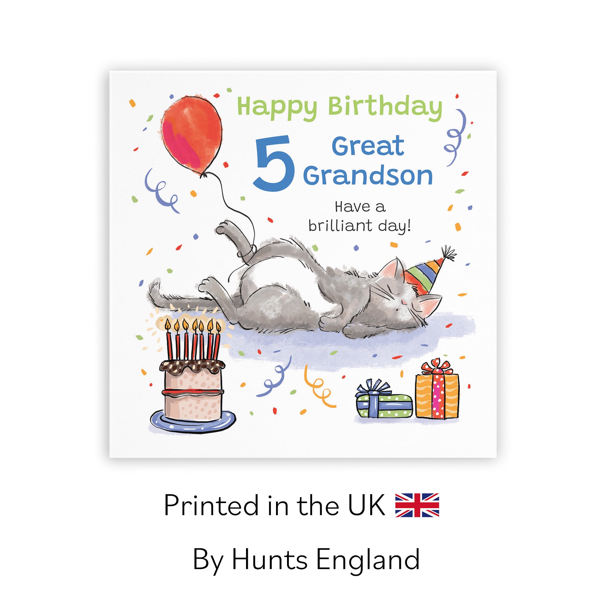 5th Great Grandson Birthday Card Sleepy Cat Animal Party - Default Title (RM00321)