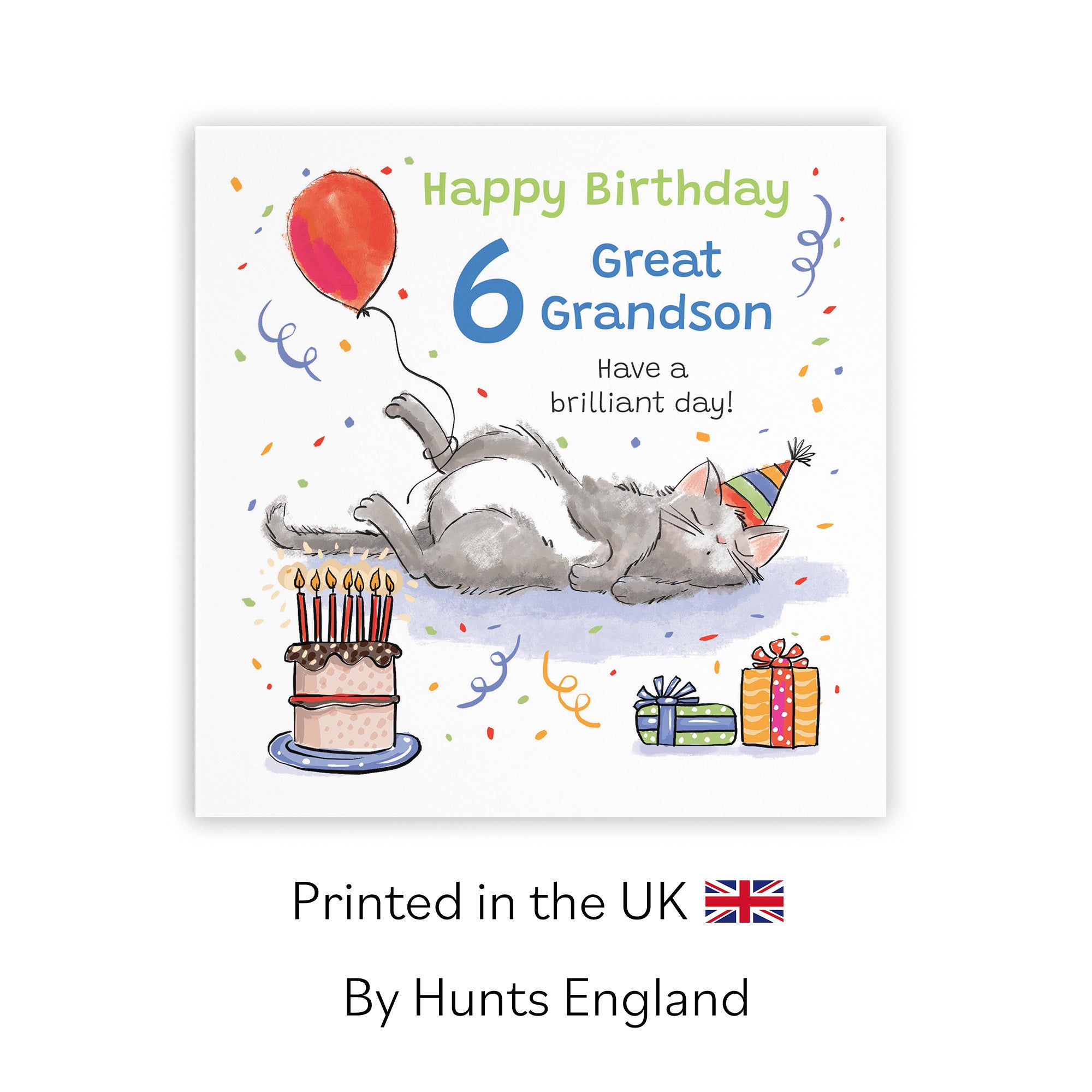 6th Great Grandson Birthday Card Sleepy Cat Animal Party - Default Title (RM00322)