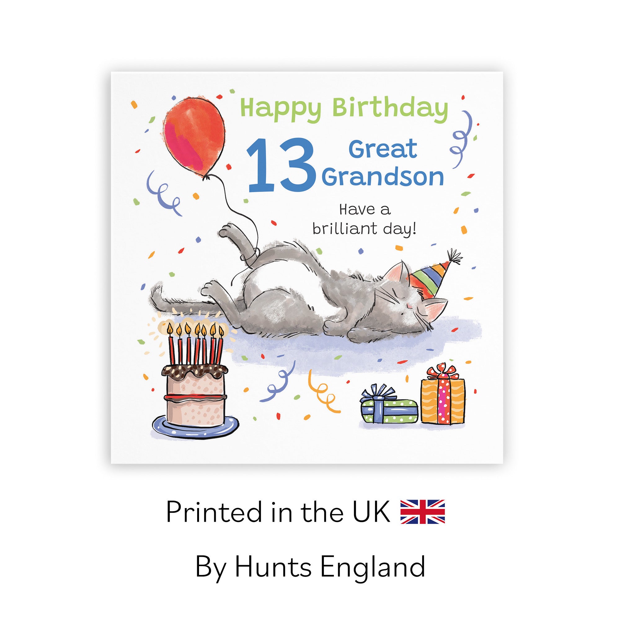 13th Great Grandson Birthday Card Sleepy Cat Animal Party - Default Title (RM00327)