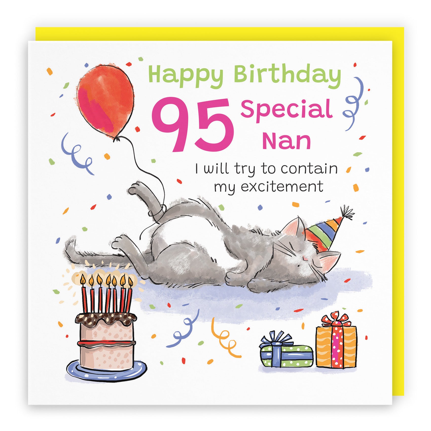 95th Nan Birthday Card Sleepy Cat Animal Party - Default Title (RM00375)