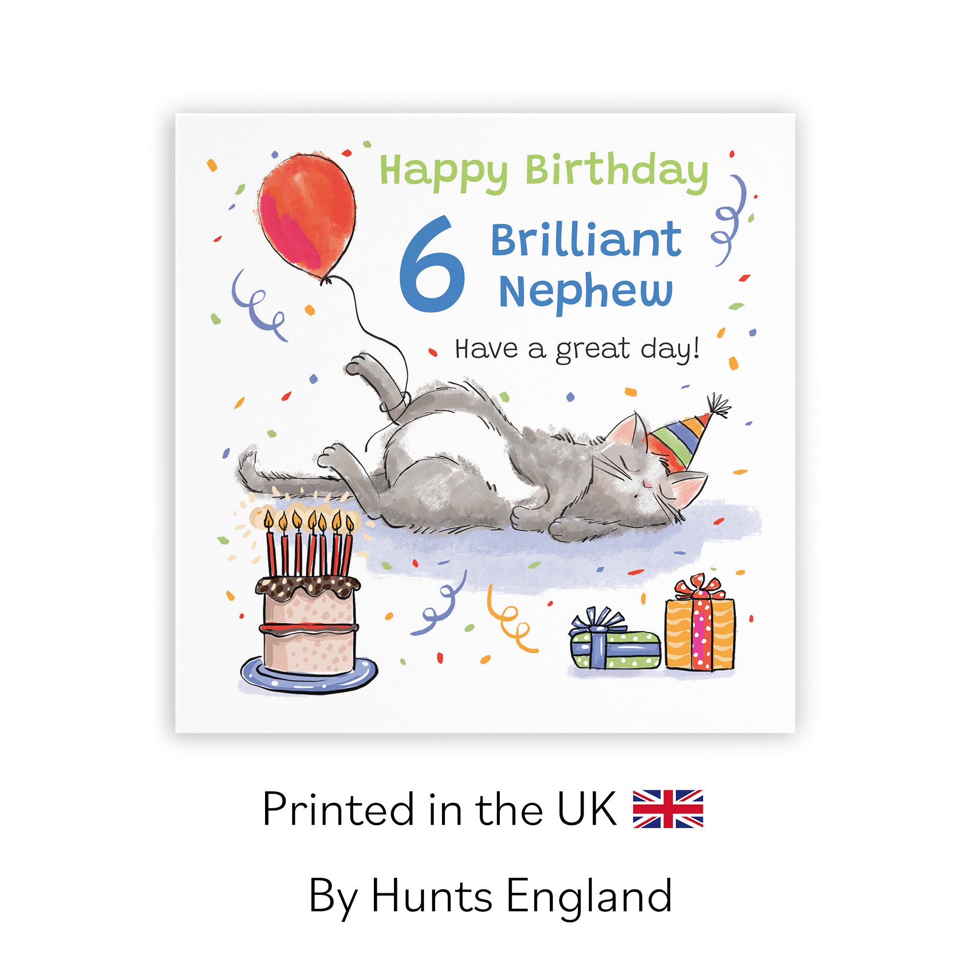 6th Nephew Birthday Card Sleepy Cat Animal Party - Default Title (RM00384)