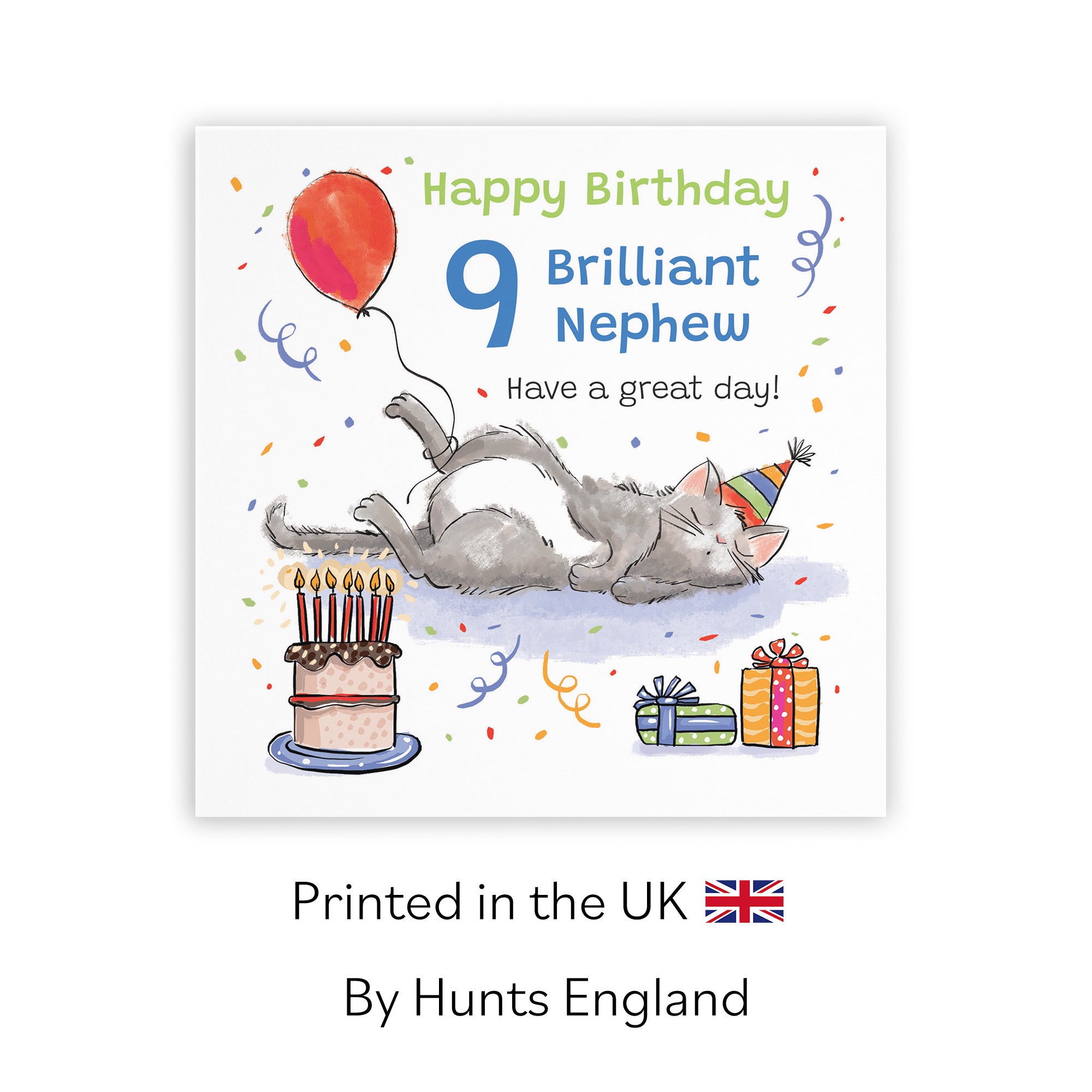 9th Nephew Birthday Card Sleepy Cat Animal Party - Default Title (RM00387)