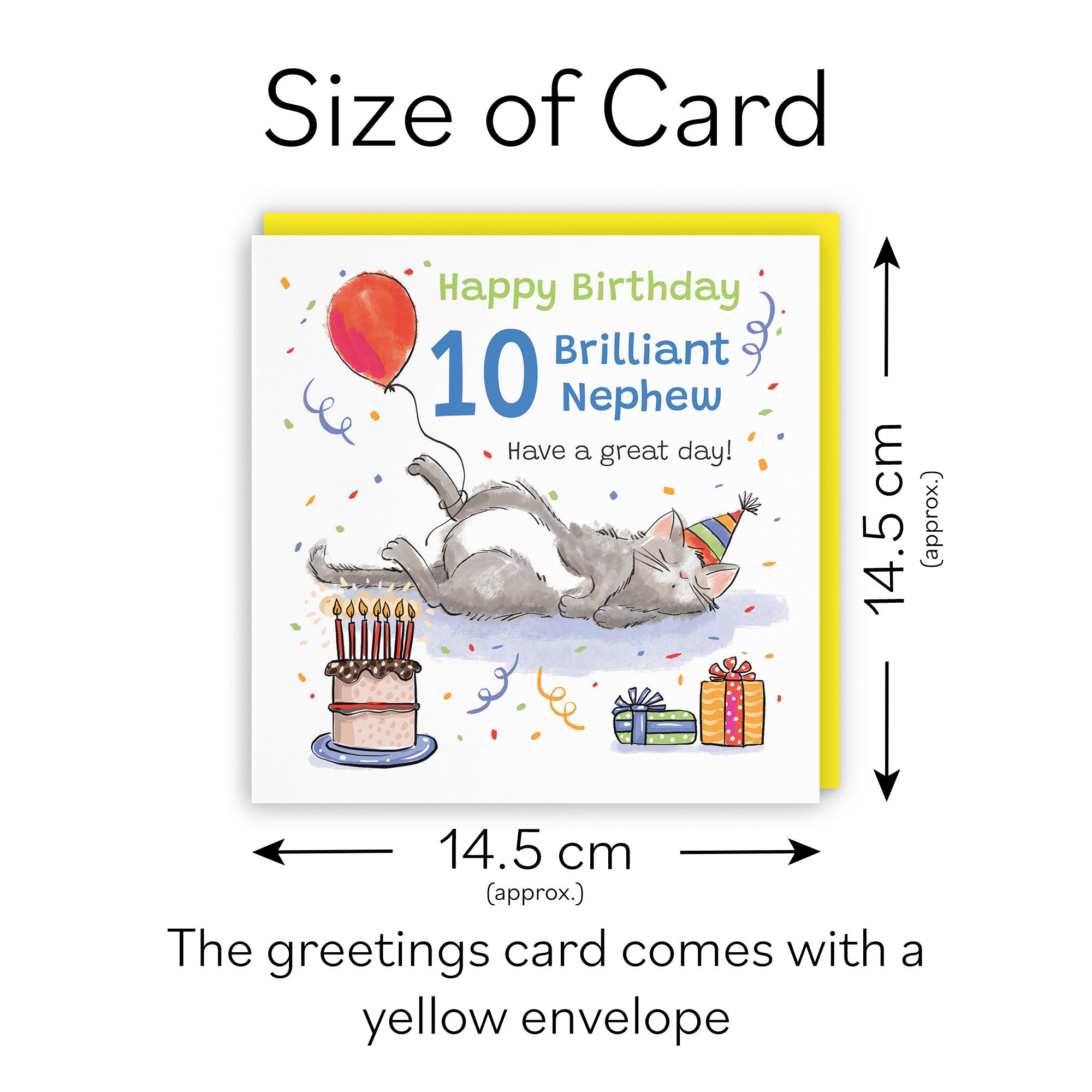 10th Nephew Birthday Card Sleepy Cat Animal Party - Default Title (RM00388)