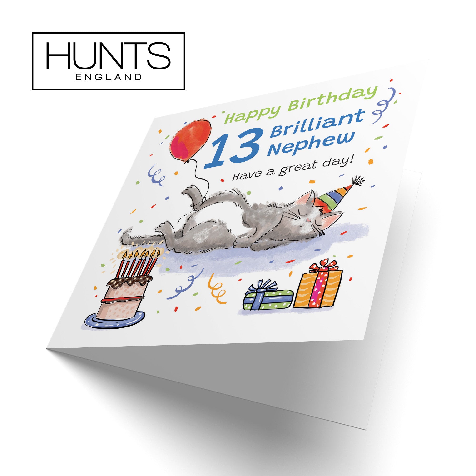 13th Nephew Birthday Card Sleepy Cat Animal Party - Default Title (RM00389)