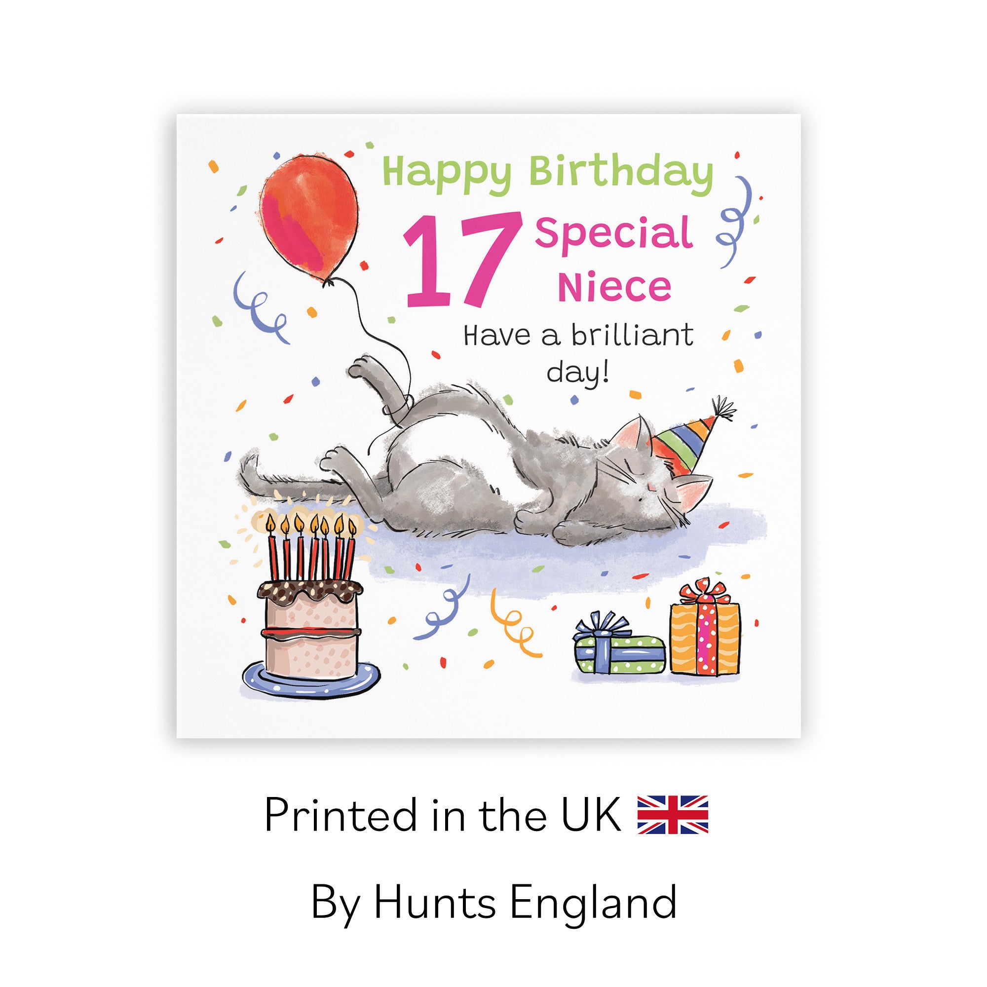 17th Niece Birthday Card Sleepy Cat Animal Party - Default Title (RM00402)