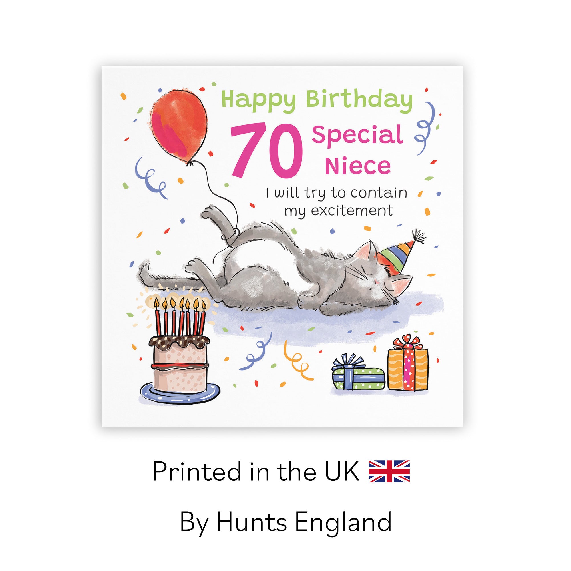 70th Niece Birthday Card Sleepy Cat Animal Party - Default Title (RM00412)