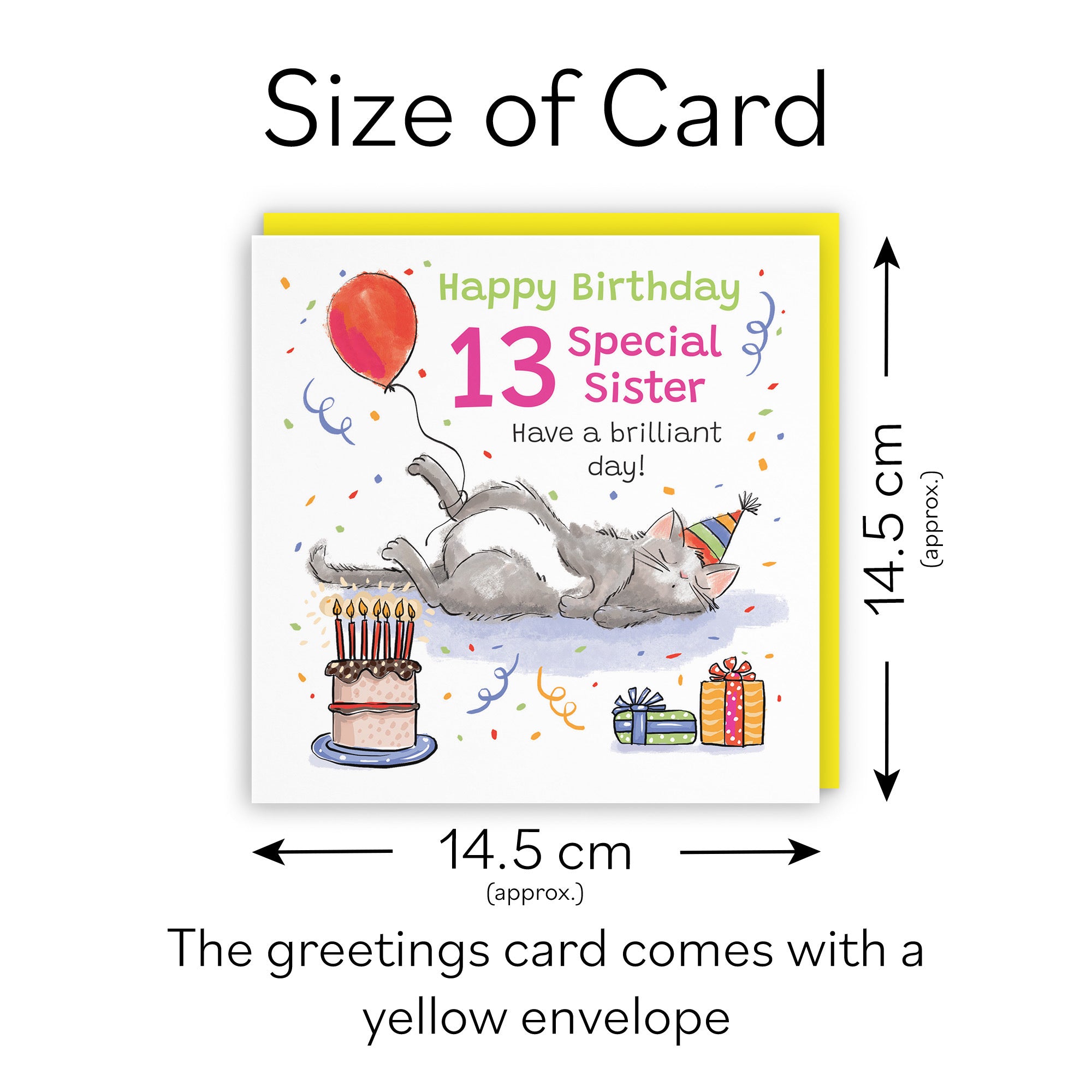 13th Sister Birthday Card Sleepy Cat Animal Party - Default Title (RM00421)