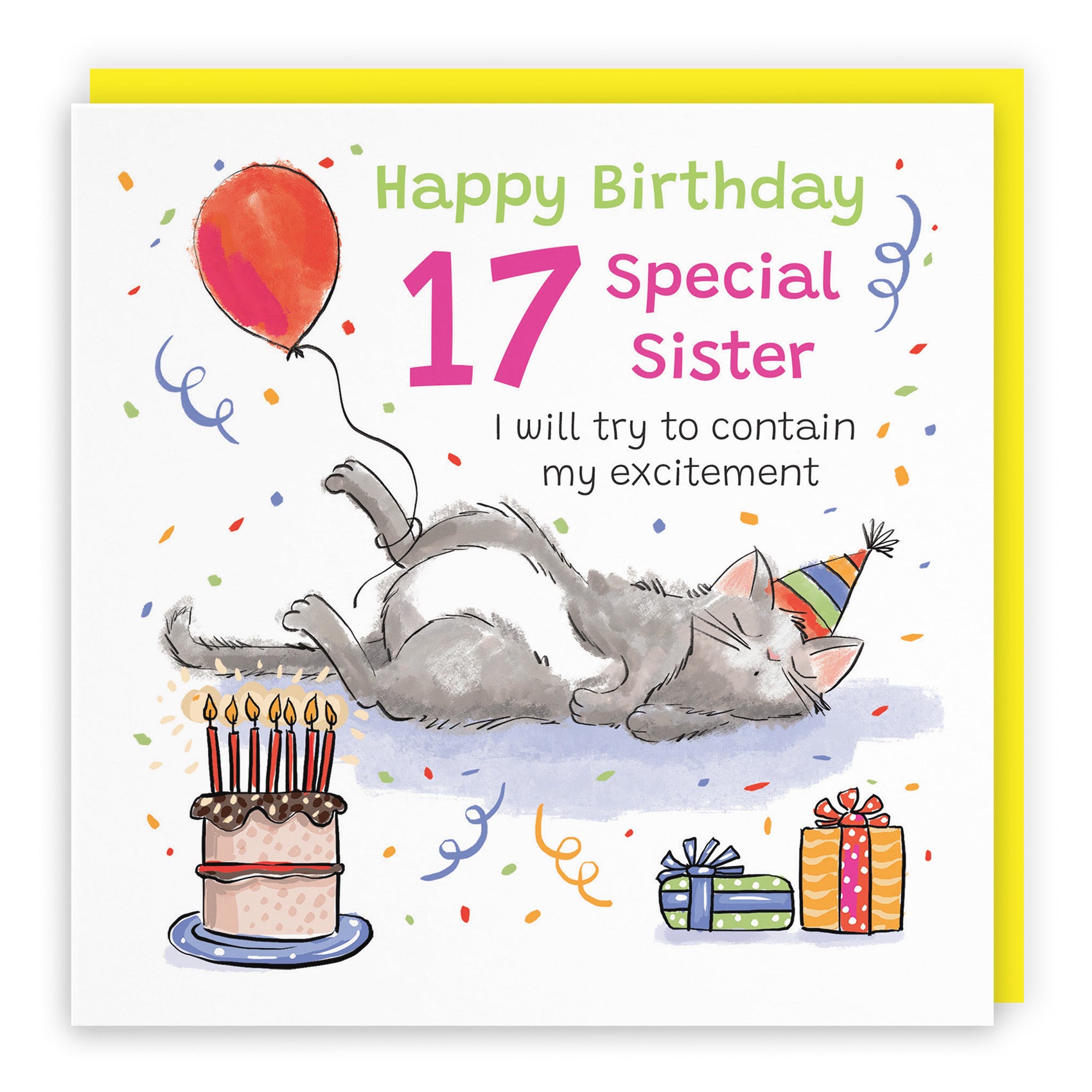 17th Sister Birthday Card Sleepy Cat Animal Party - Default Title (RM00425)