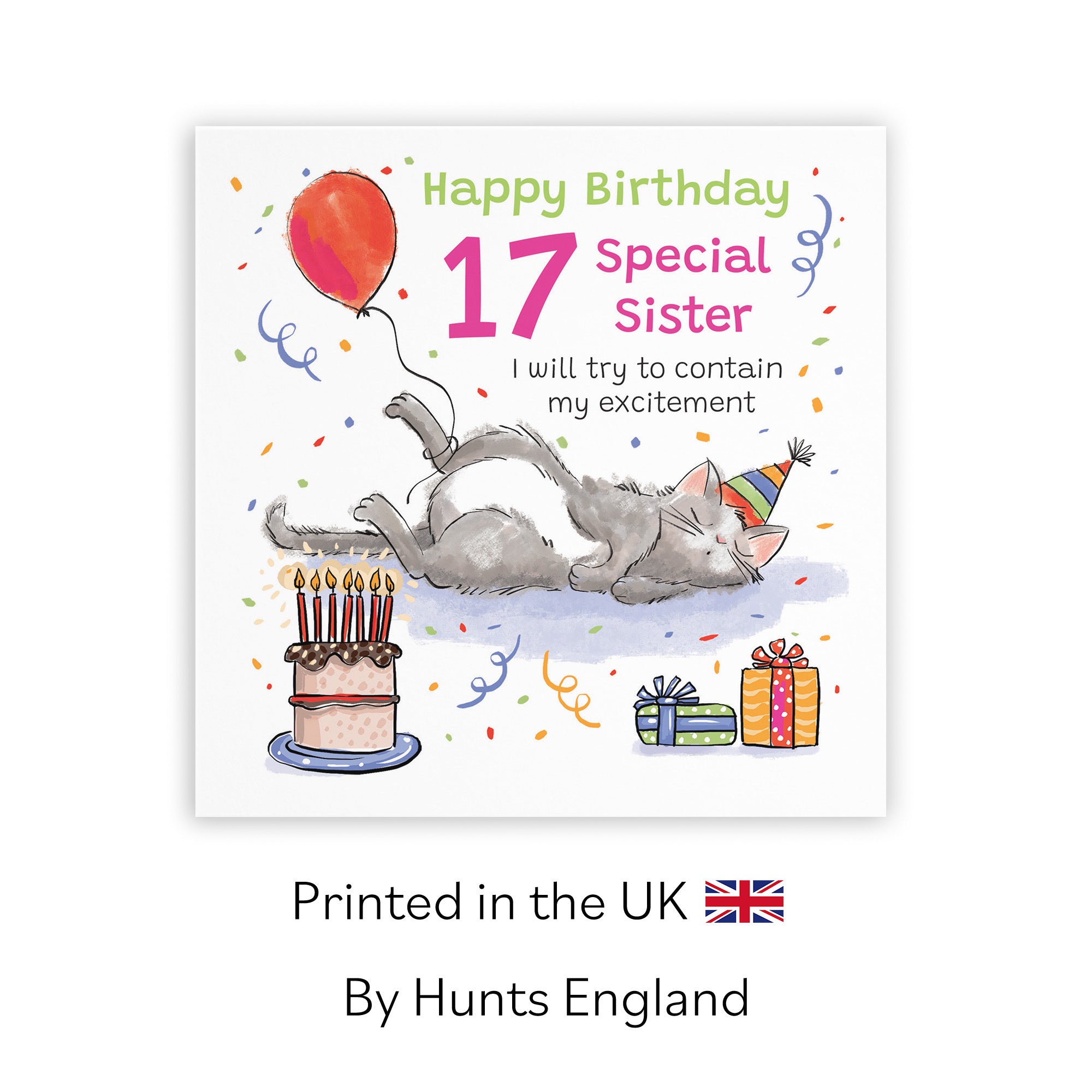 17th Sister Birthday Card Sleepy Cat Animal Party - Default Title (RM00425)