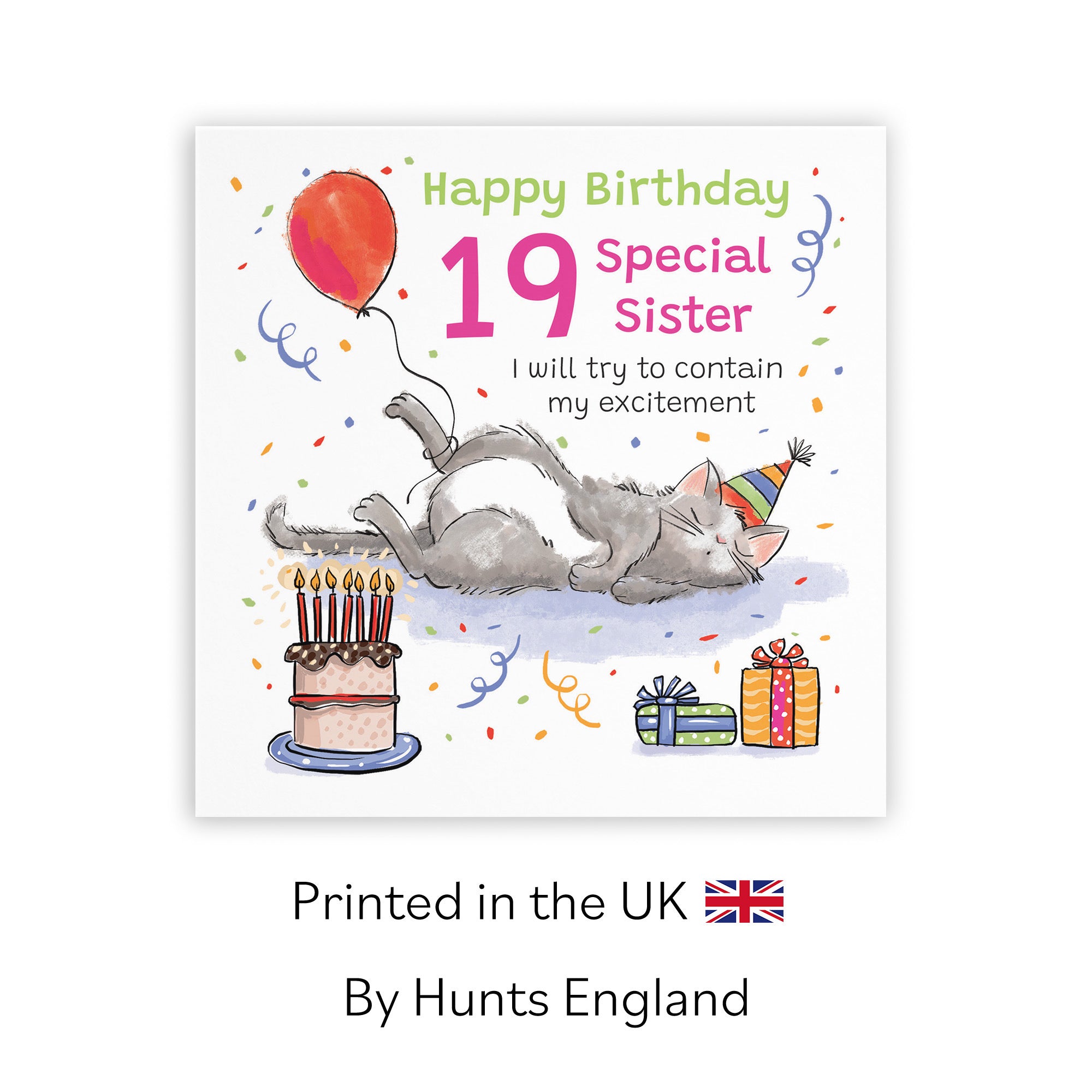 19th Sister Birthday Card Sleepy Cat Animal Party - Default Title (RM00427)