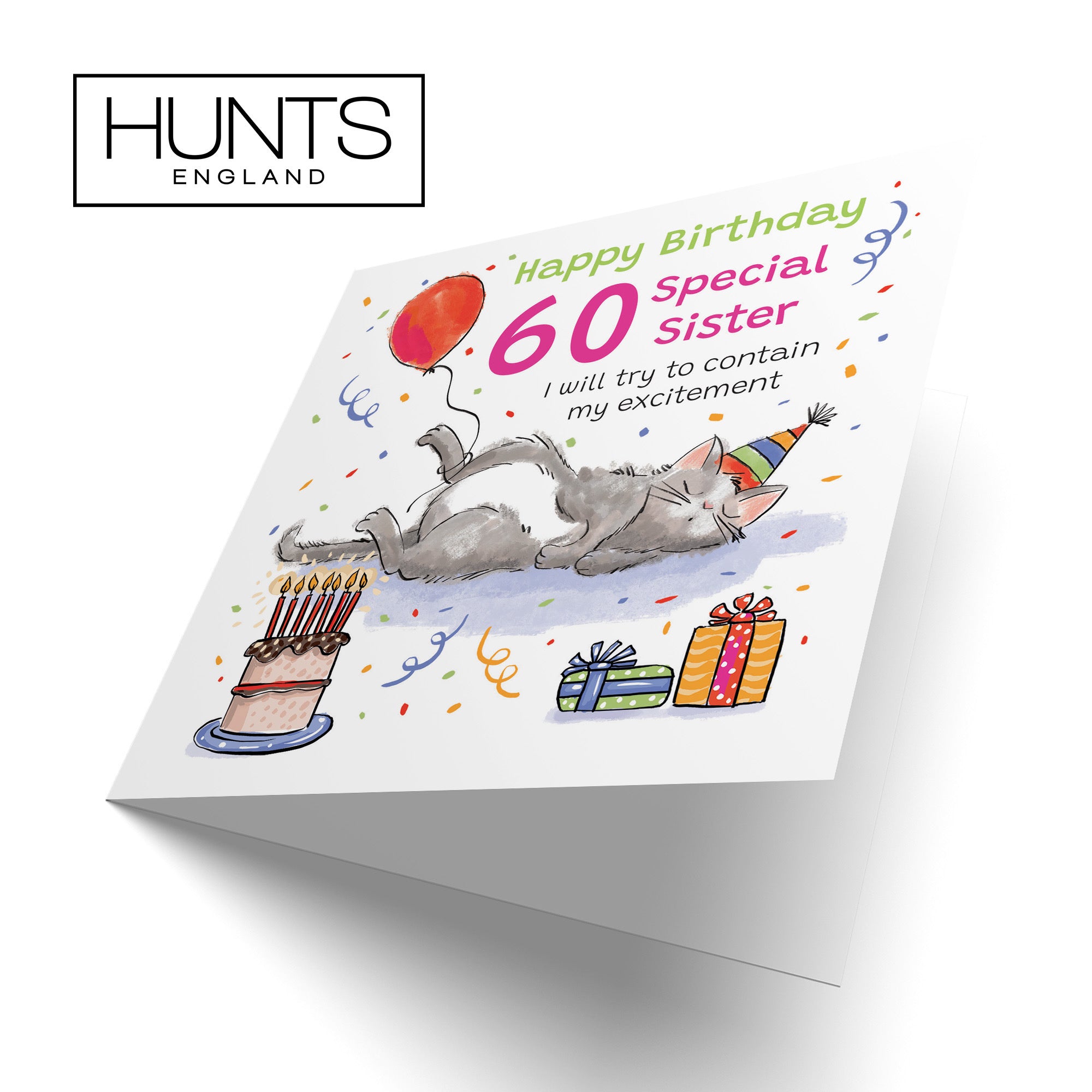 60th Sister Birthday Card Sleepy Cat Animal Party - Default Title (RM00433)