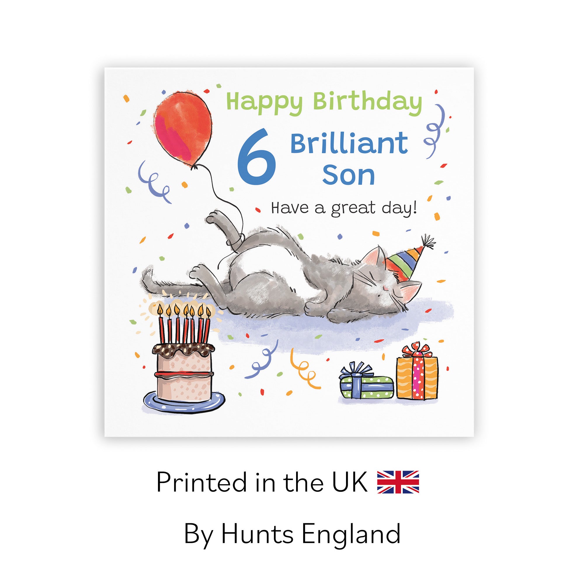 6th Son Birthday Card Sleepy Cat Animal Party - Default Title (RM00439)