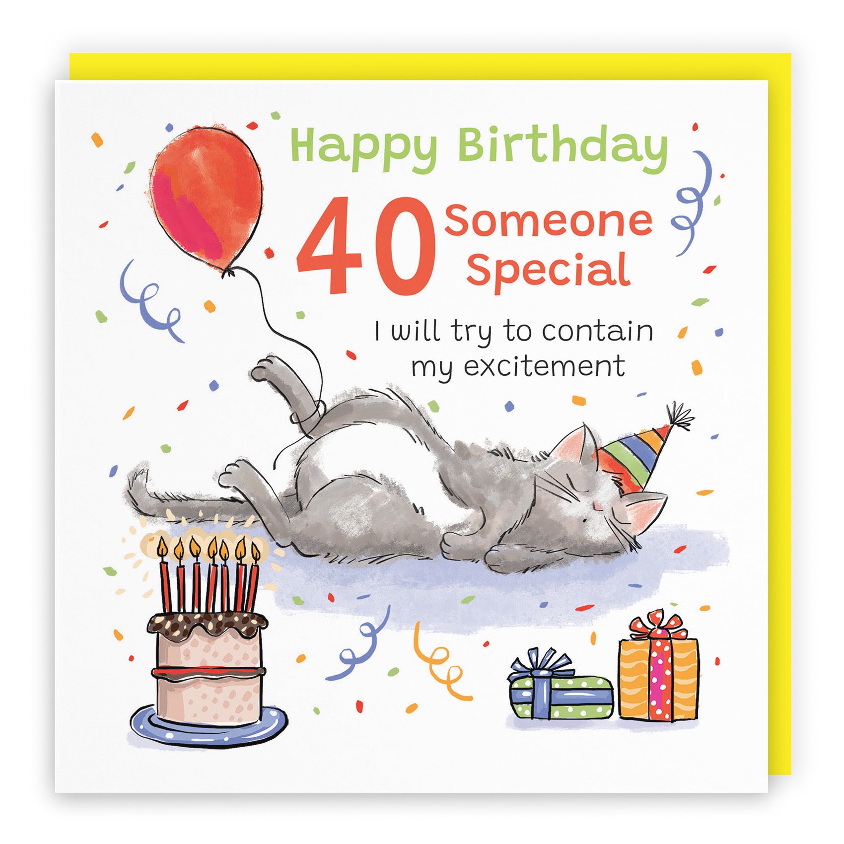 40th Someone Special Birthday Card Sleepy Cat Animal Party - Default Title (RM00449)