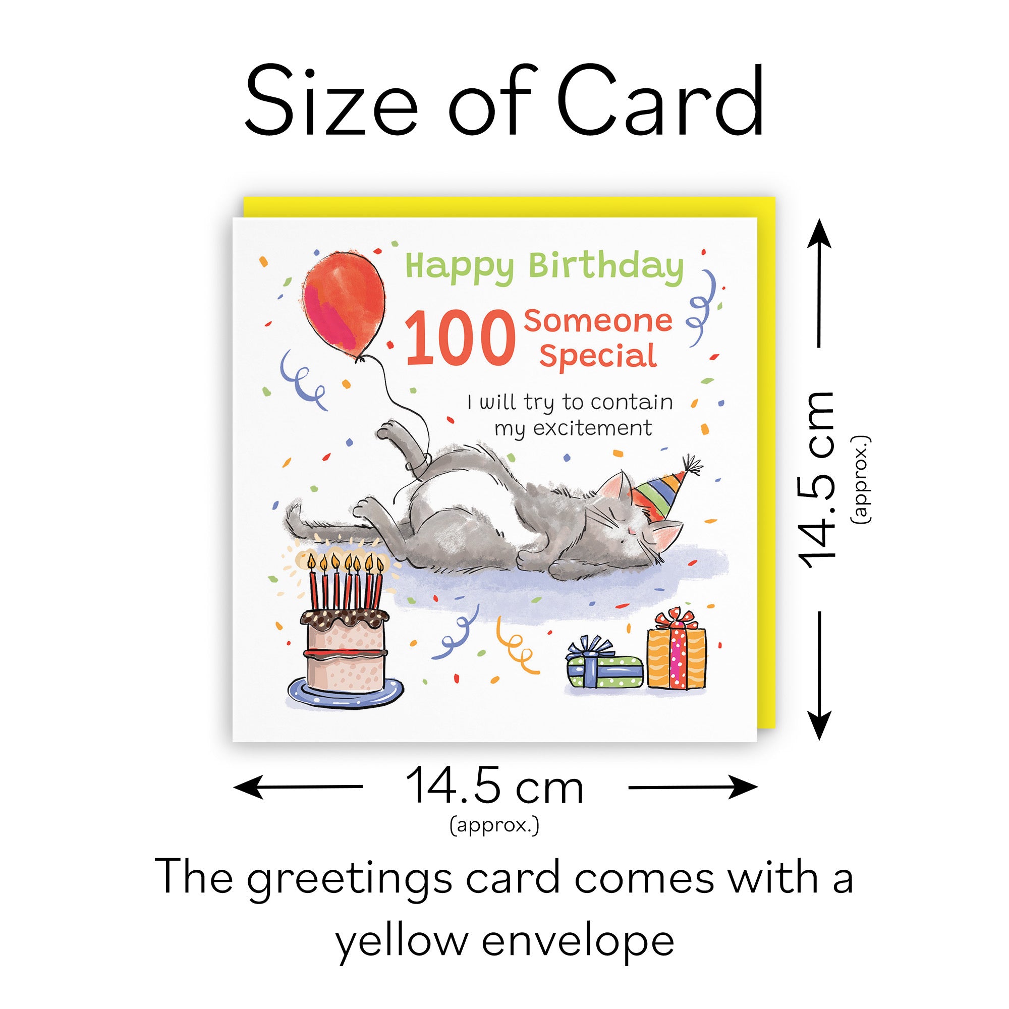 100th Someone Special Birthday Card Sleepy Cat Animal Party - Default Title (RM00455)