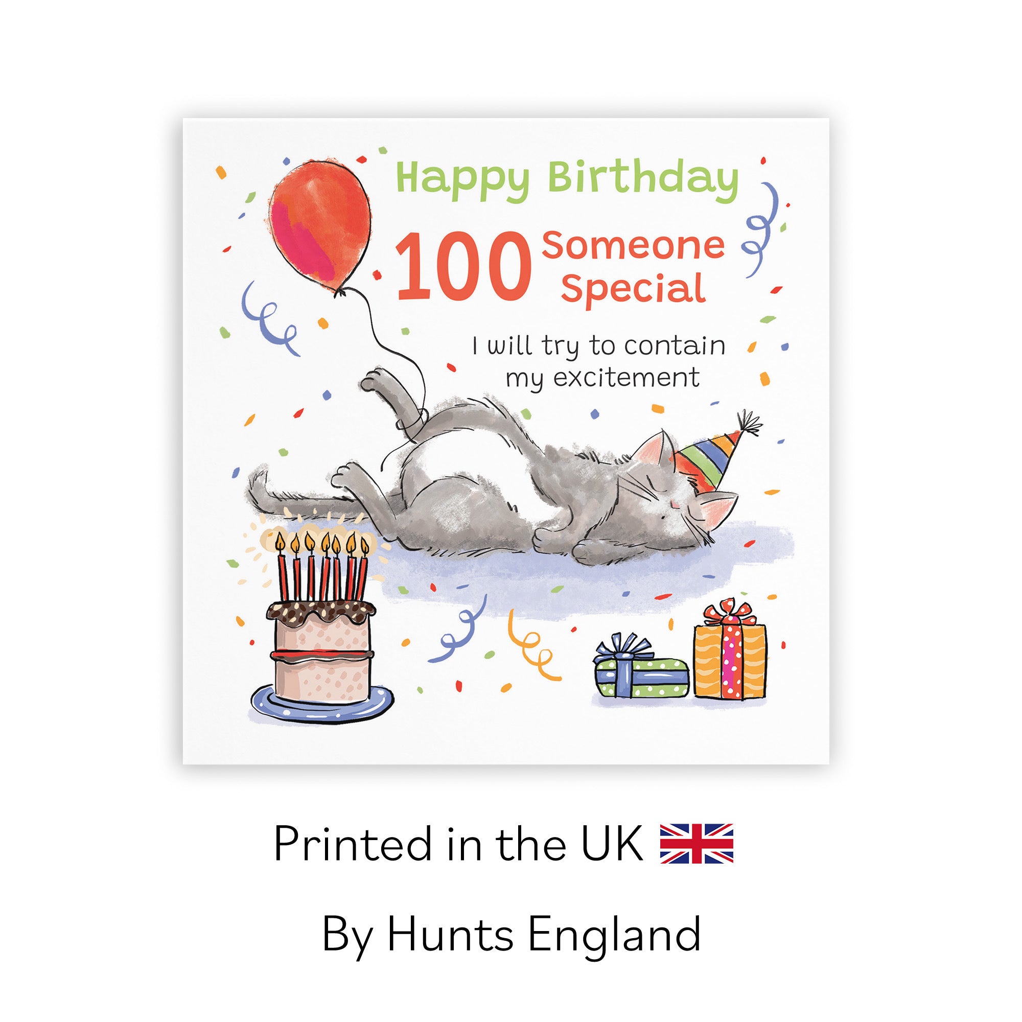 100th Someone Special Birthday Card Sleepy Cat Animal Party - Default Title (RM00455)