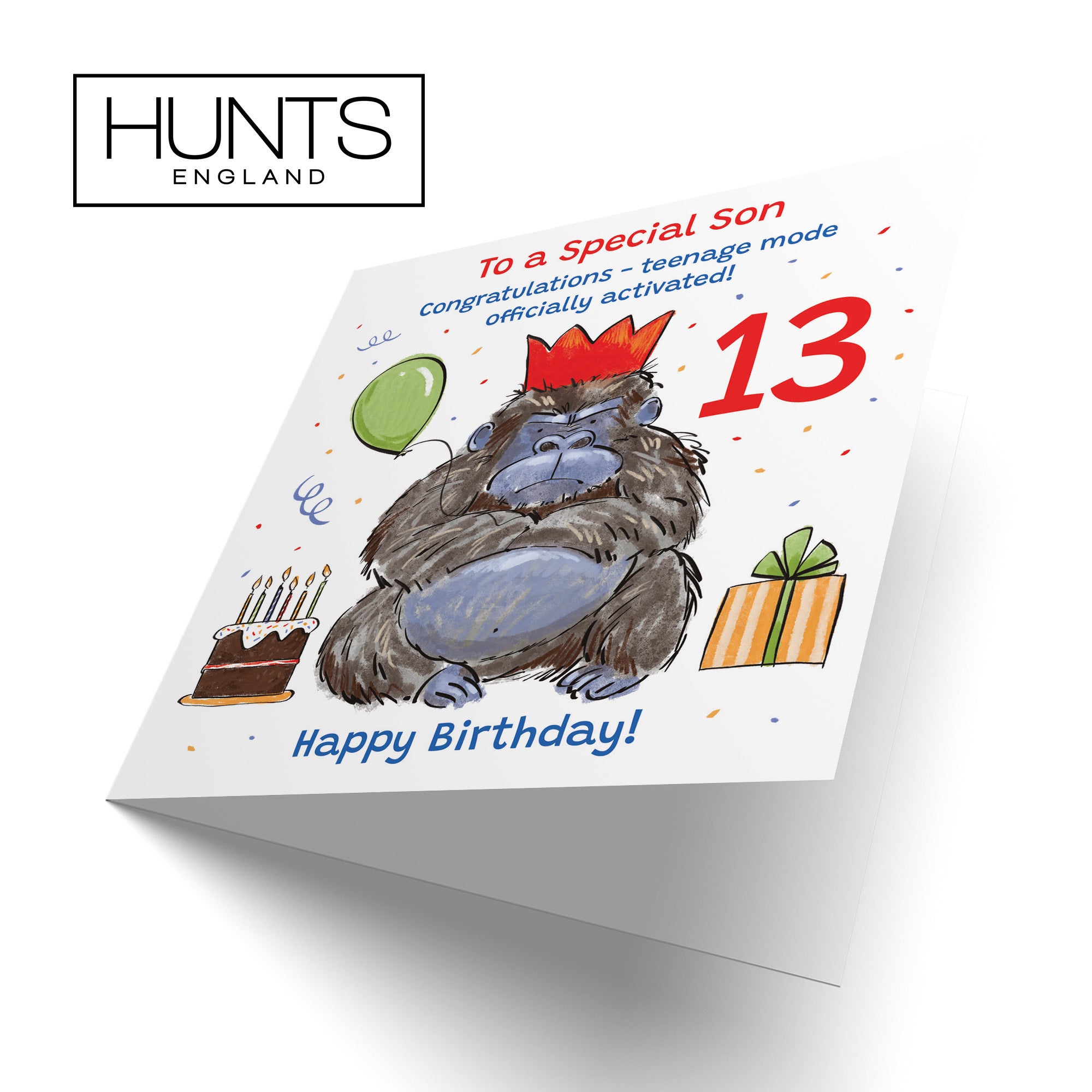 13th Son Birthday Card Grumpy Gorilla Animal Party - Default Title (RM00635)