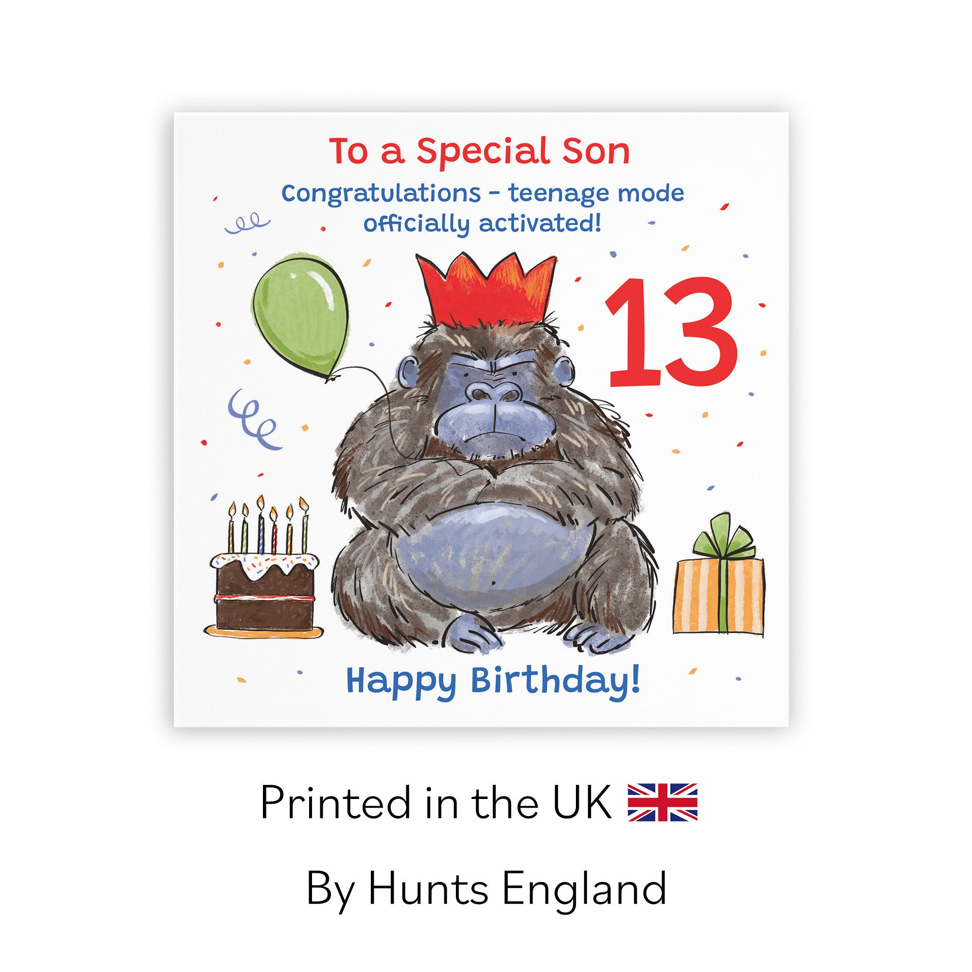 13th Son Birthday Card Grumpy Gorilla Animal Party - Default Title (RM00635)