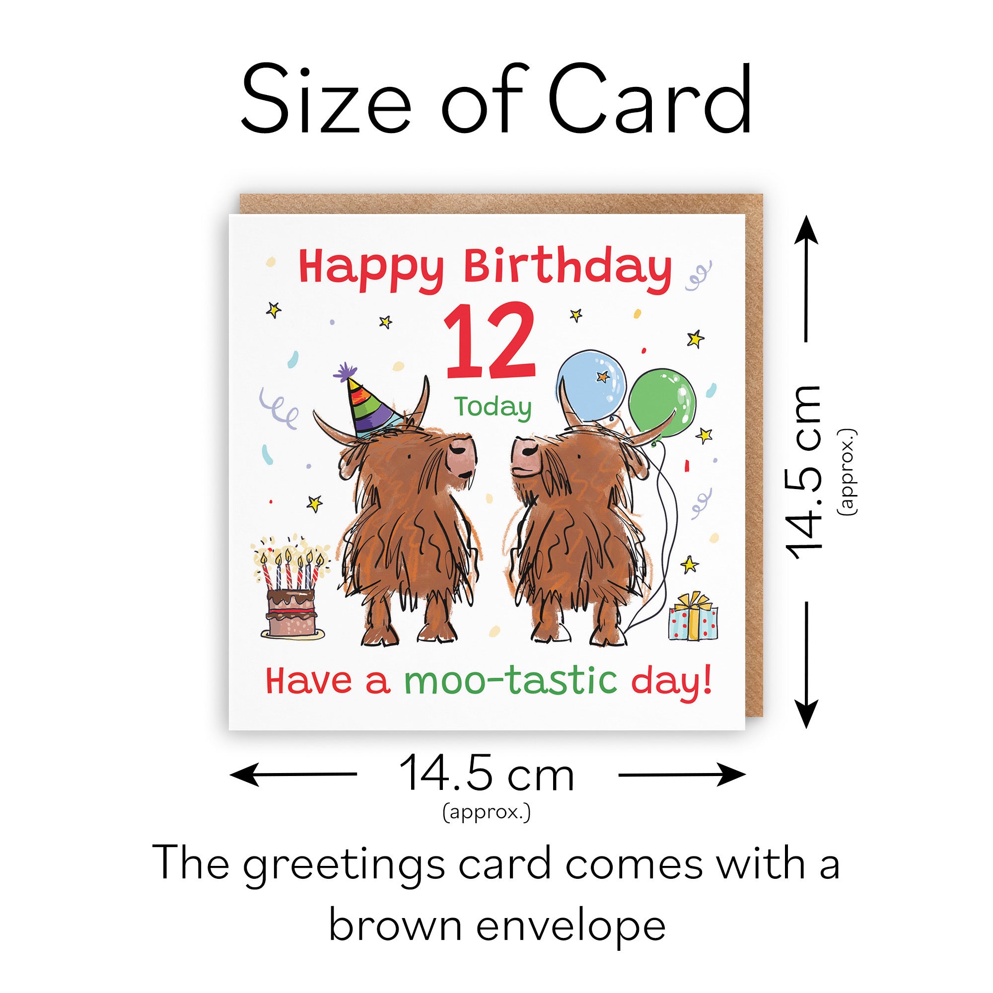 12th Birthday Card Highland Cows Animal Party - Default Title (RM00733)