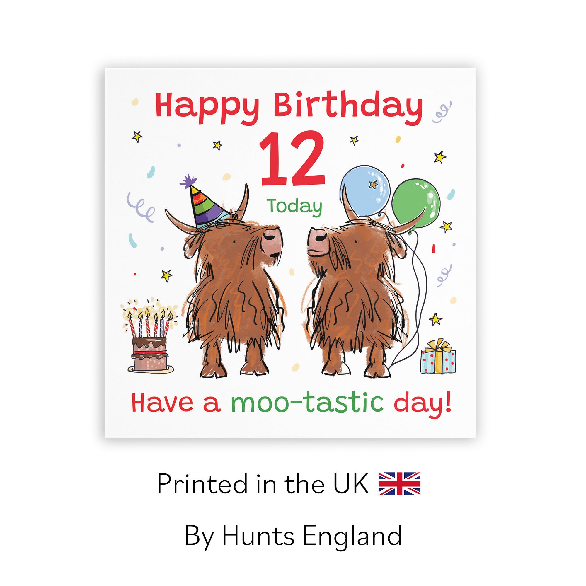 12th Birthday Card Highland Cows Animal Party - Default Title (RM00733)